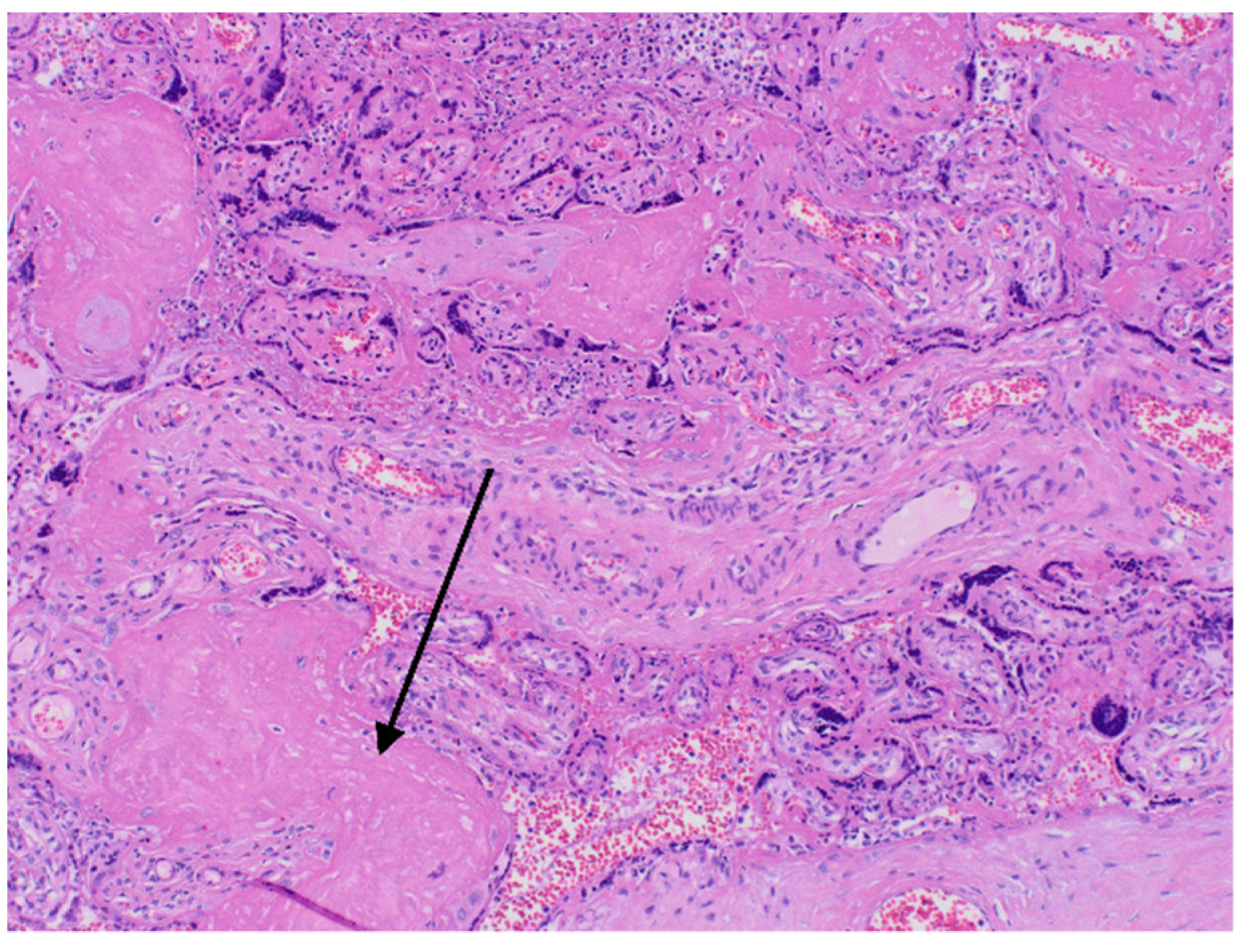 Diagnostics 12 00655 g003 Diagnostics 12 00655 g003