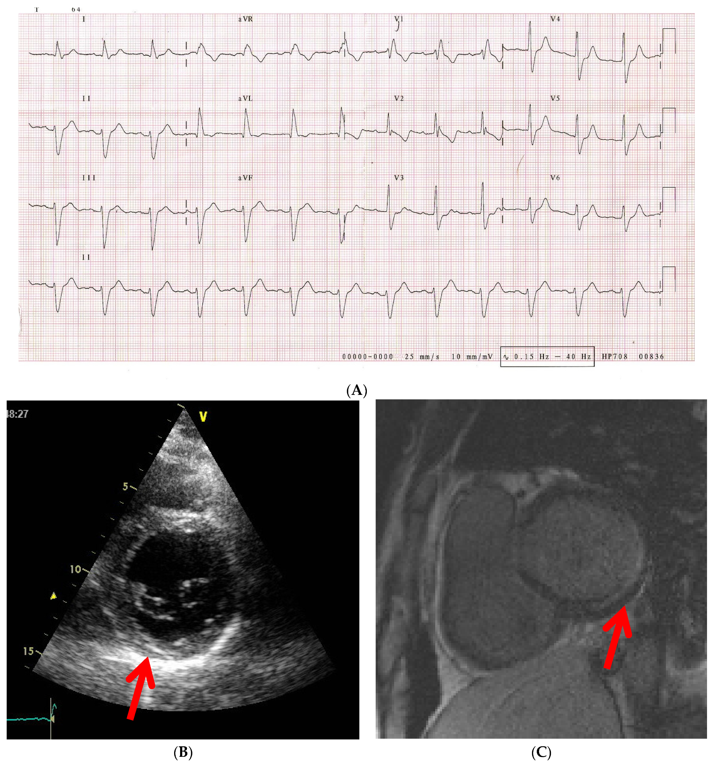 Diagnostics 12 00669 g003