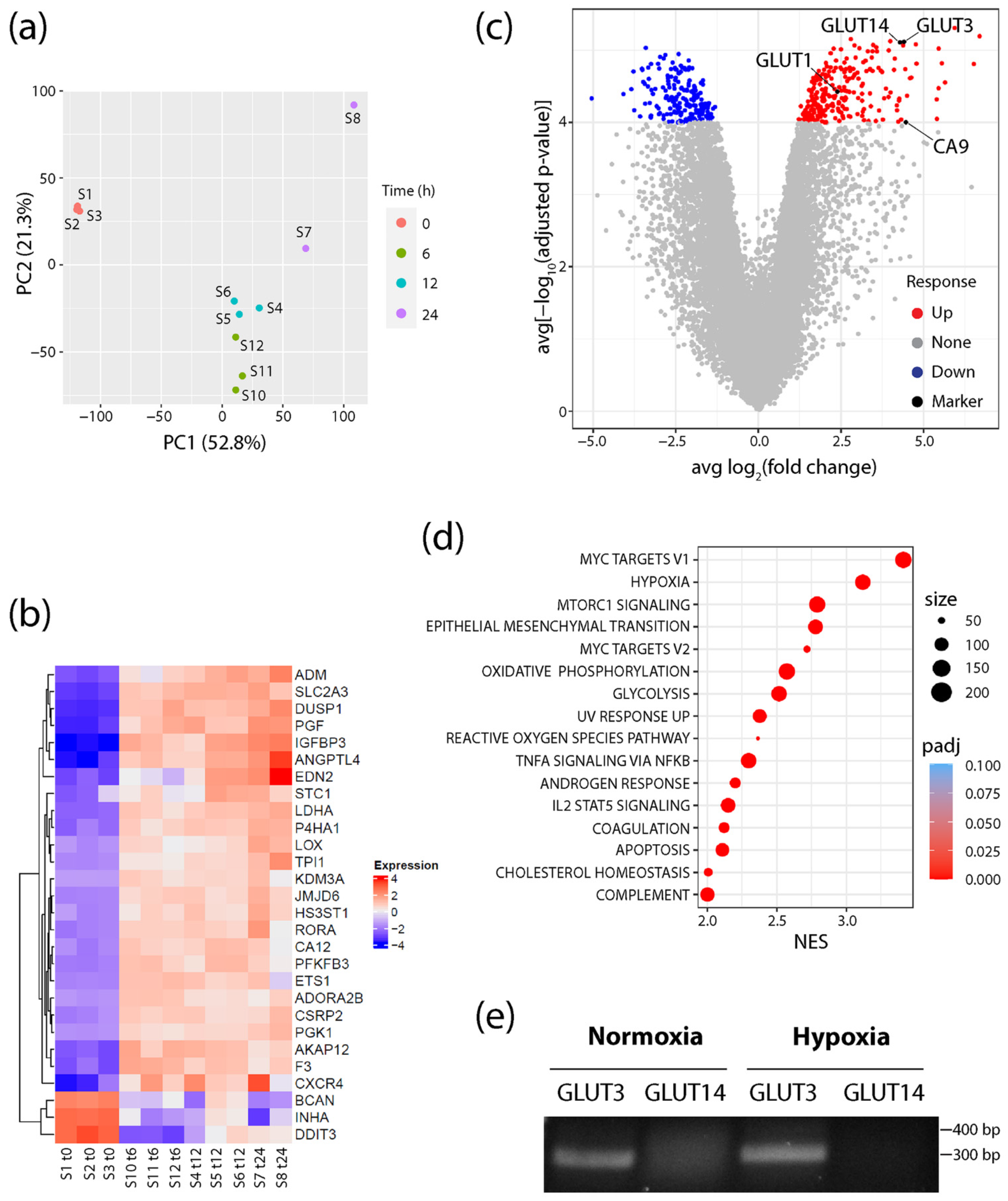 Diagnostics 12 00676 g001