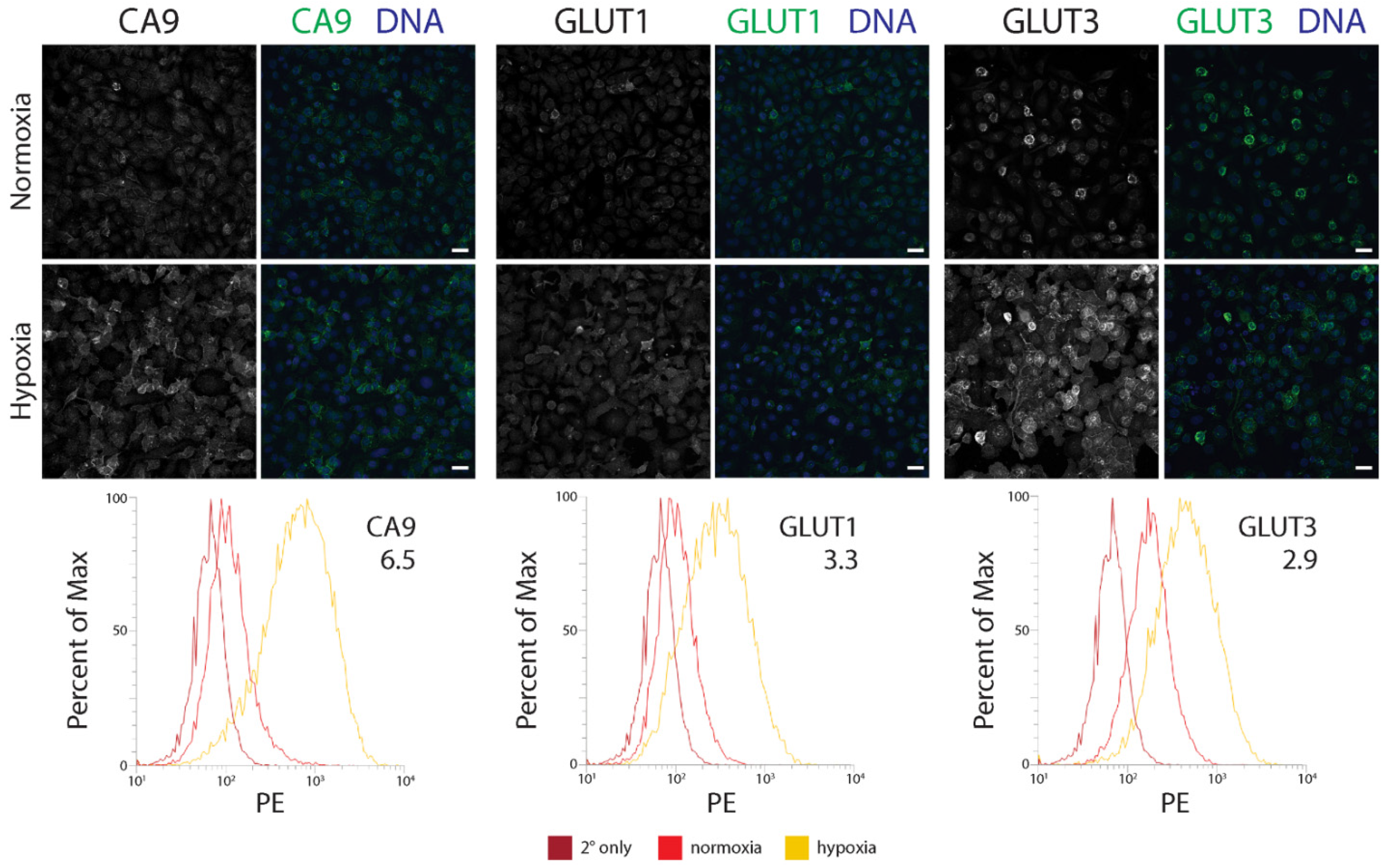 Diagnostics 12 00676 g002