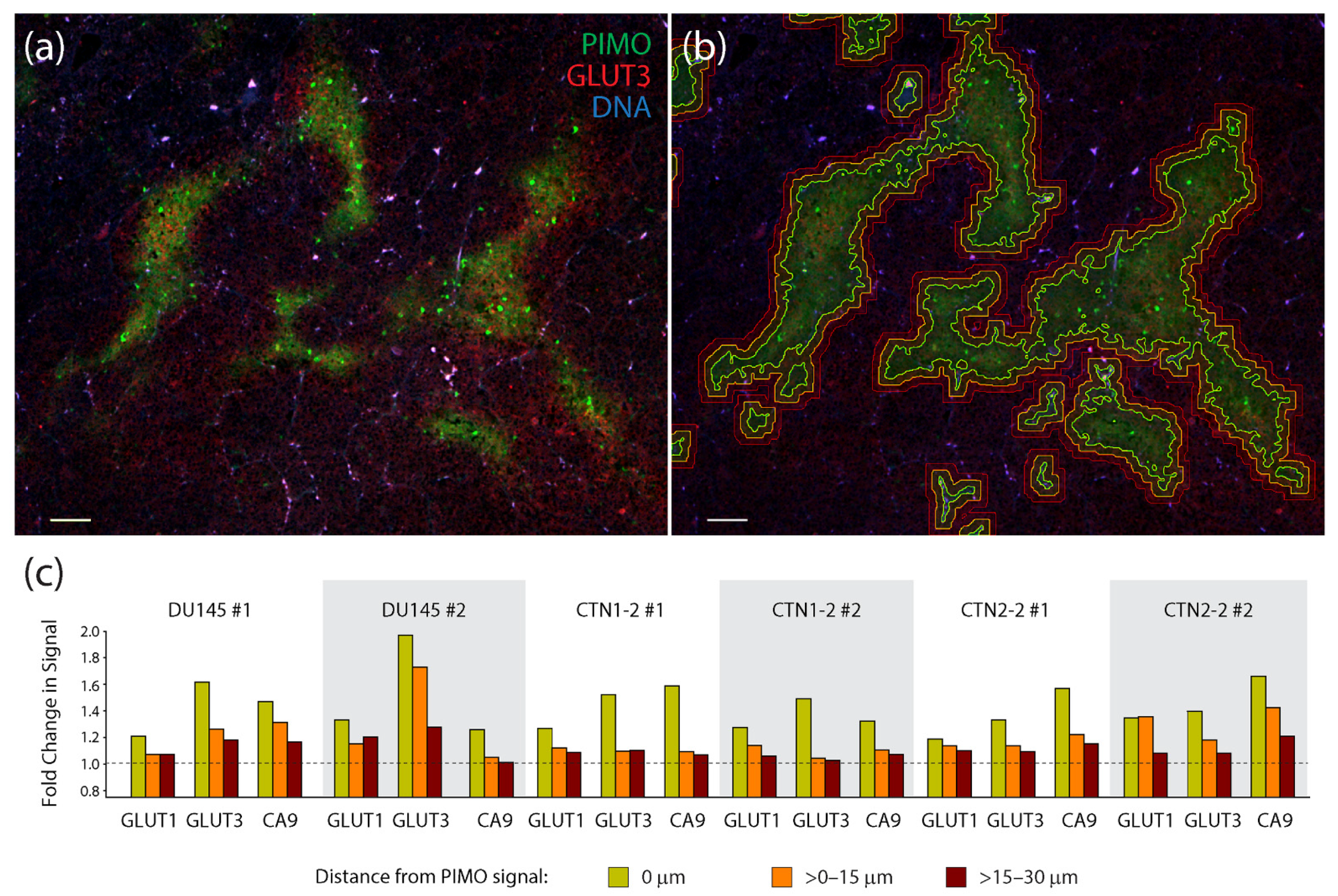 Diagnostics 12 00676 g005