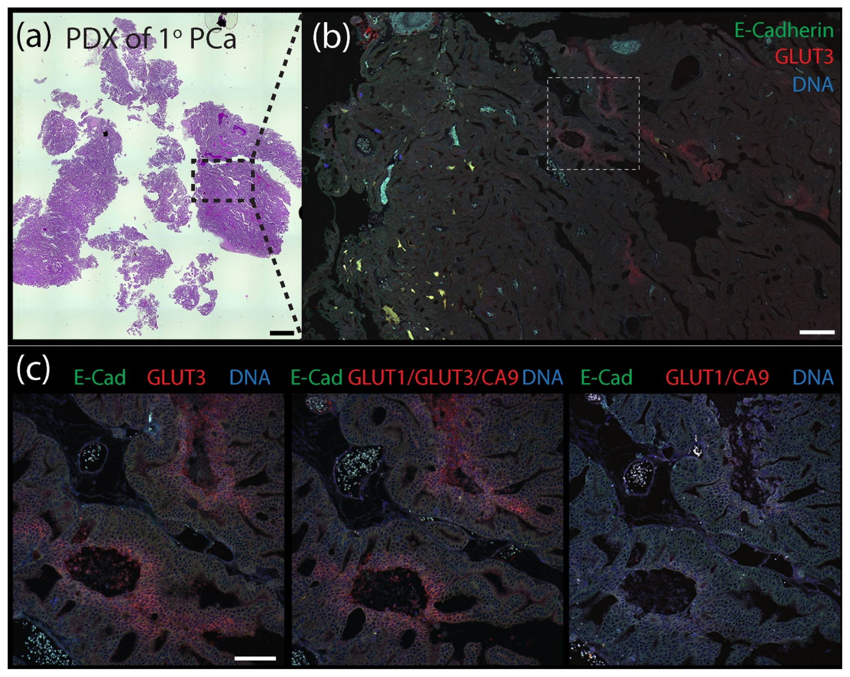 Diagnostics 12 00676 g006