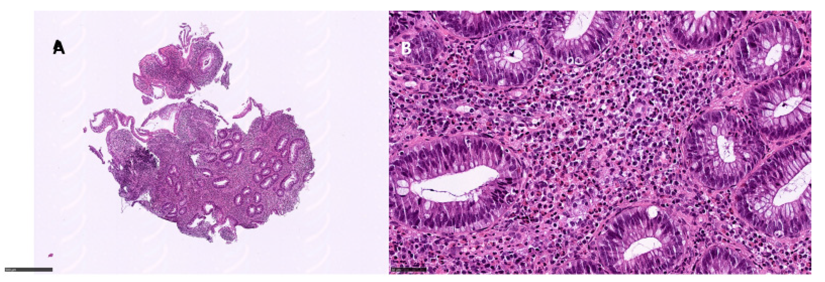 Diagnostics 12 00685 g003