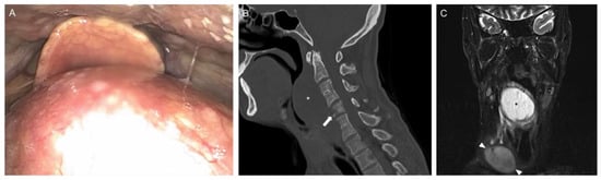 Diagnostics 12 00686 g001 550