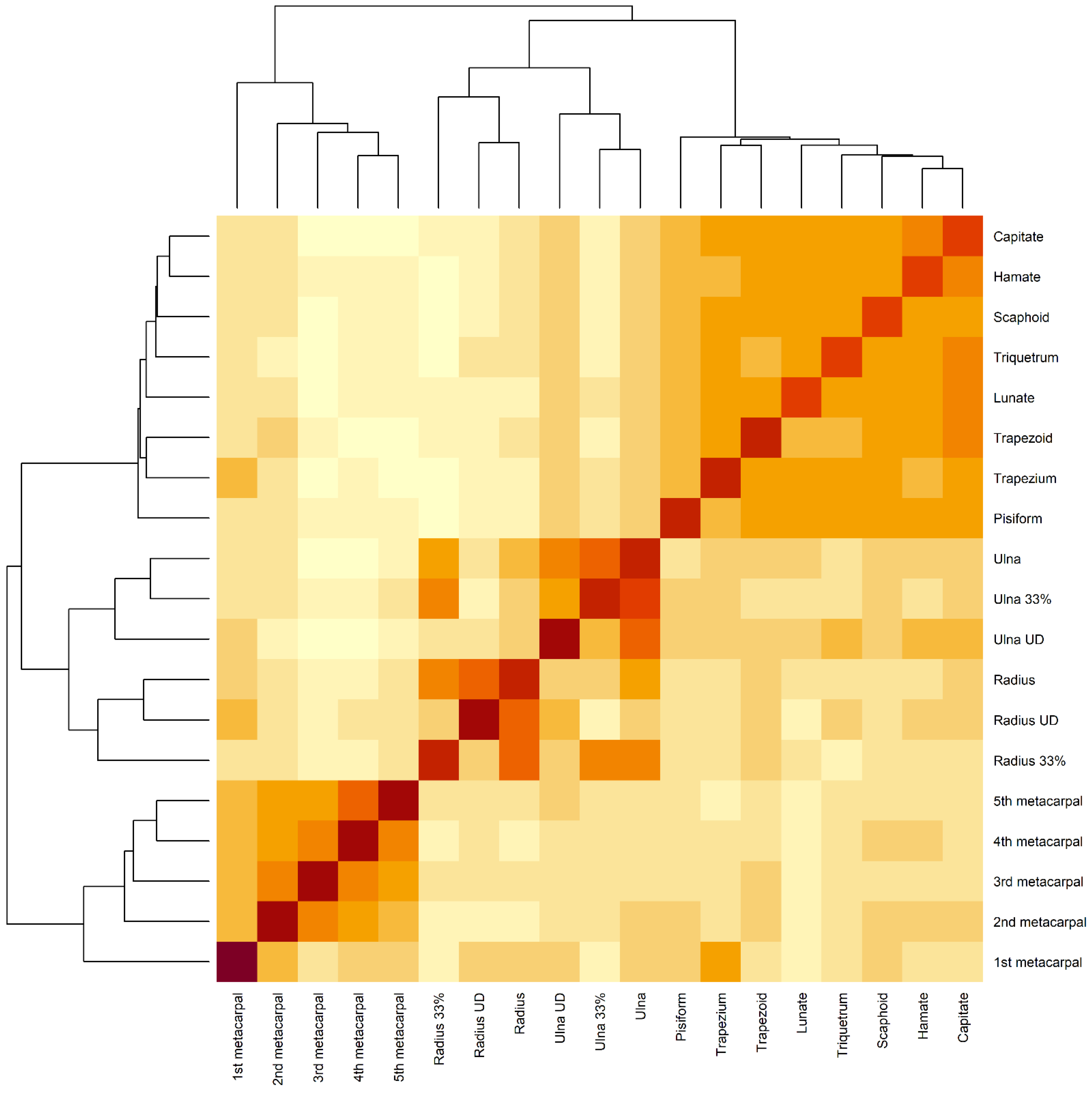 Diagnostics 12 00691 g003