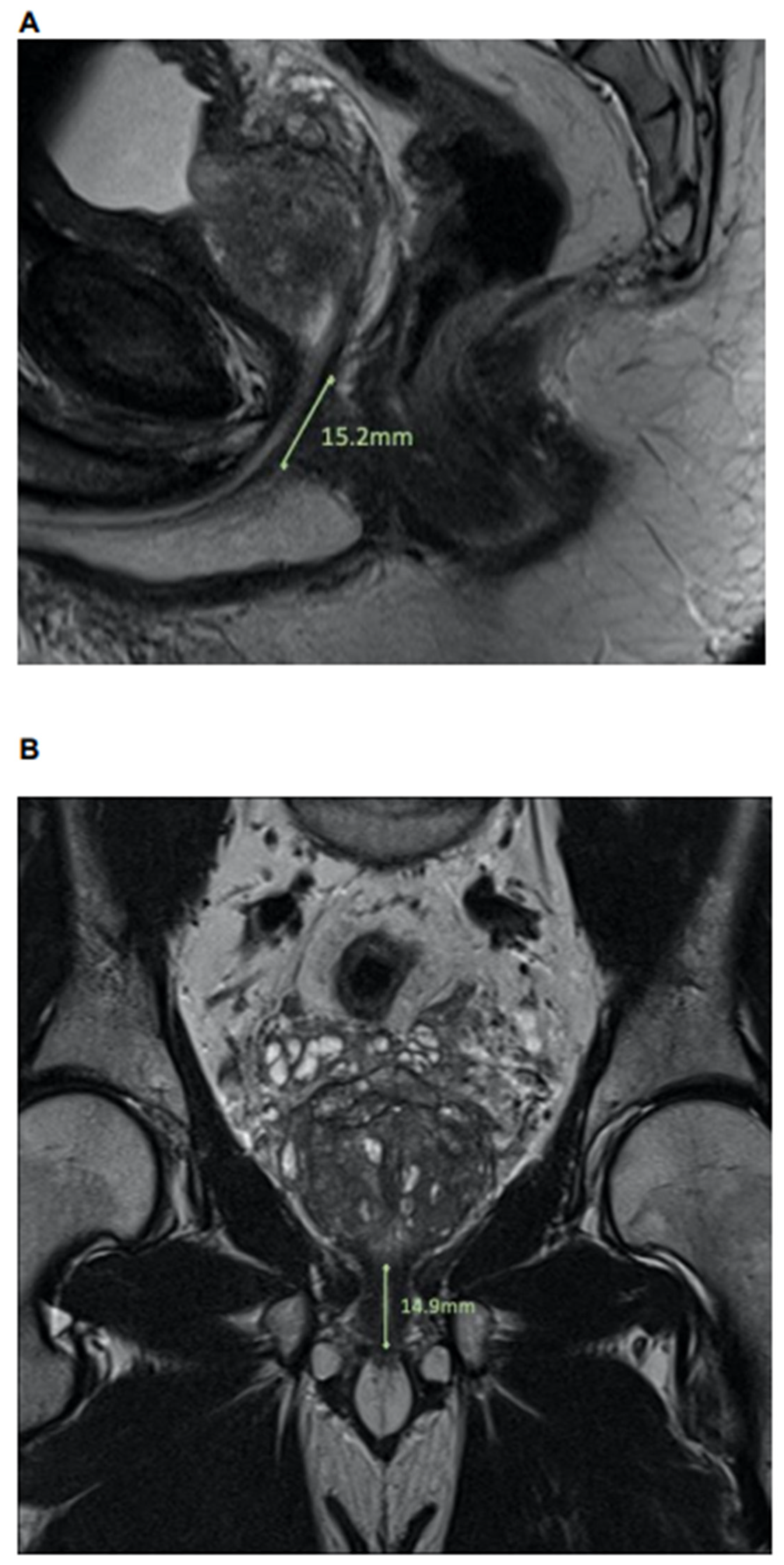 Diagnostics 12 00701 g001