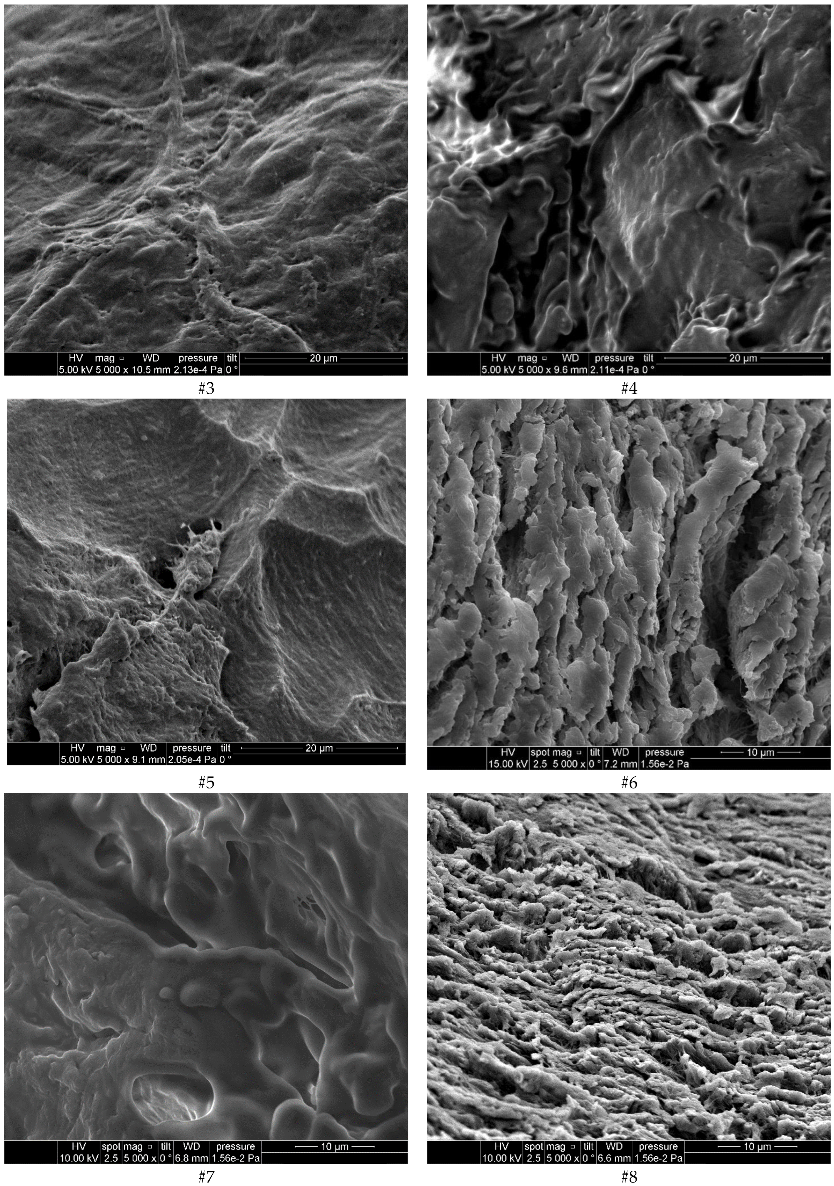 Diagnostics 12 00723 g002b