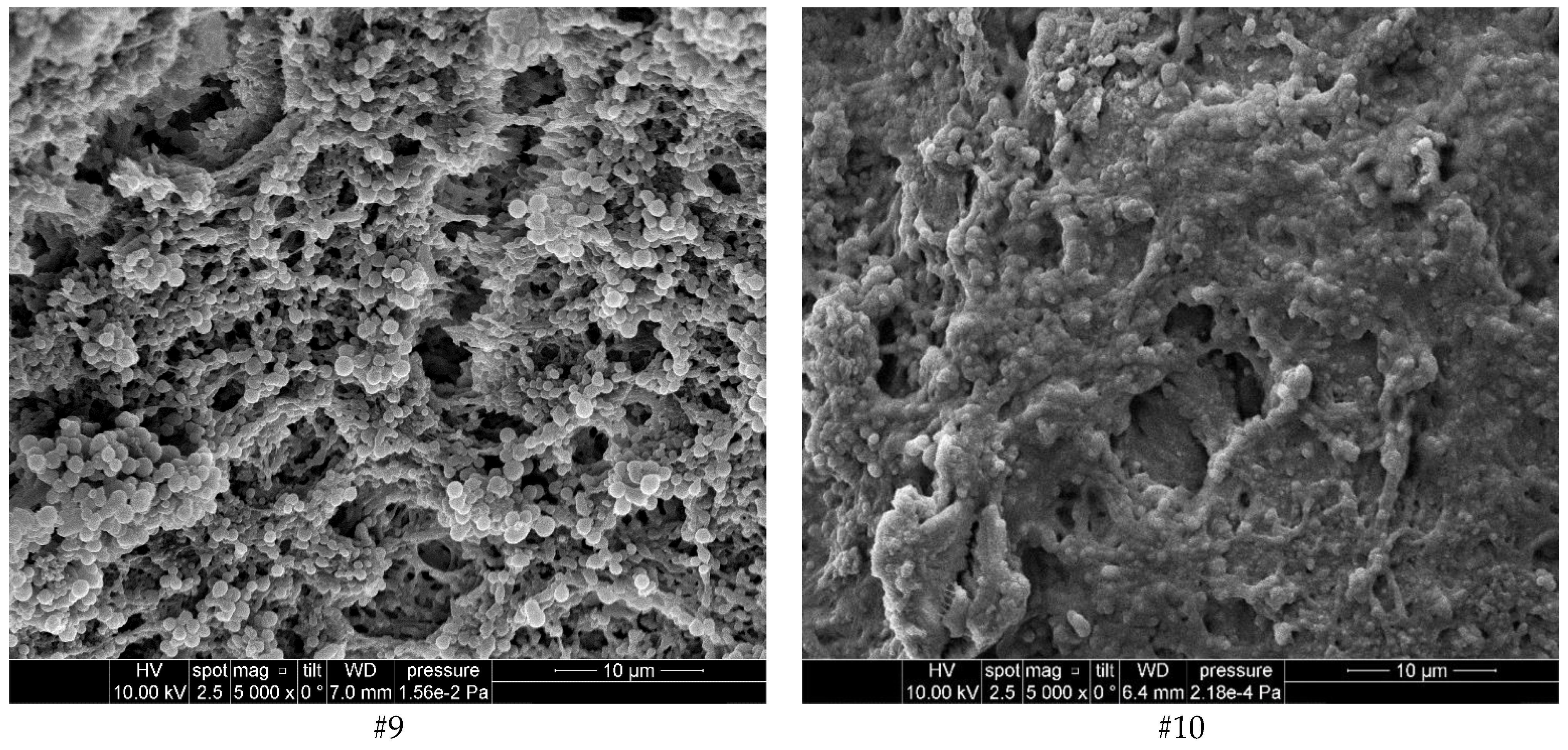 Diagnostics 12 00723 g002c