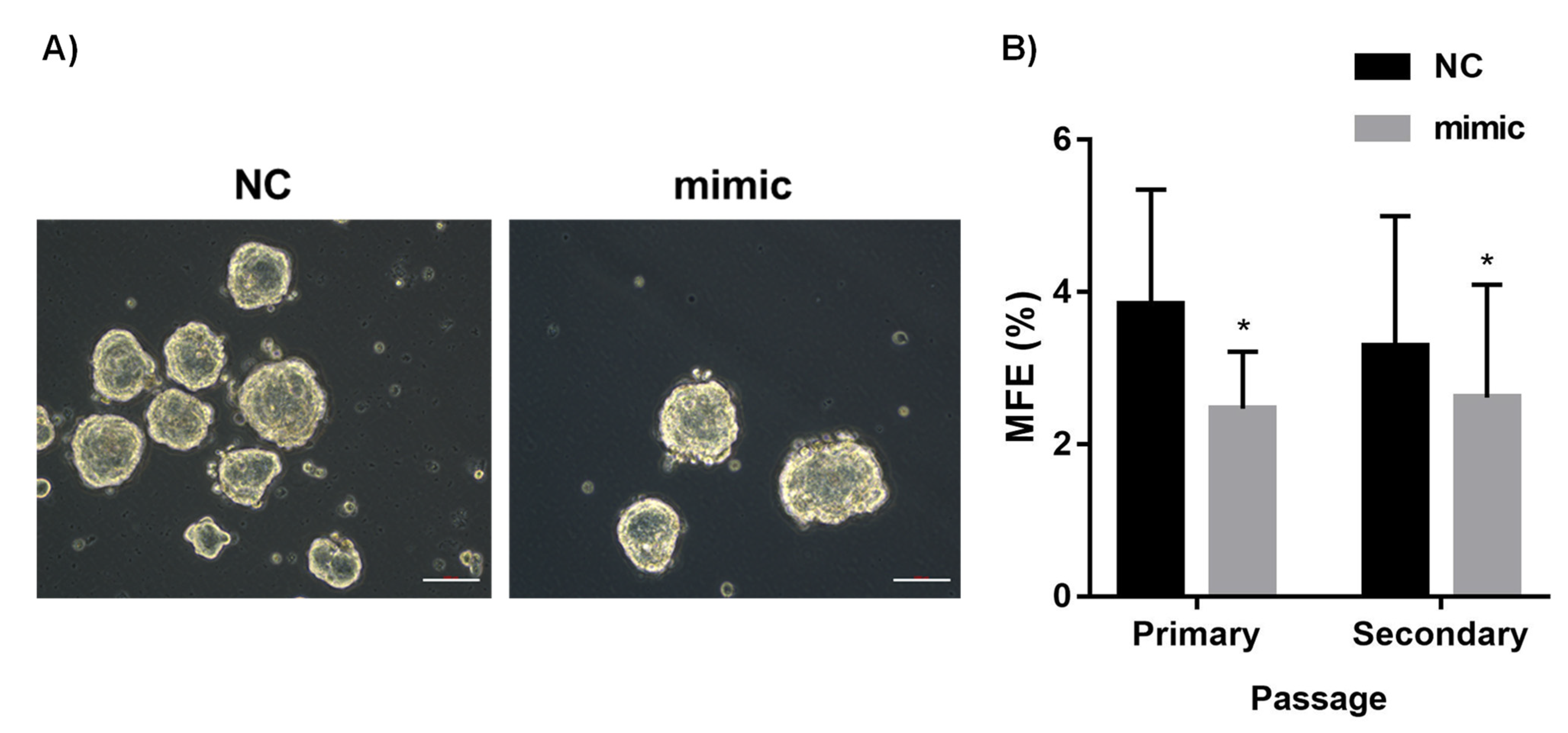 Diagnostics 12 00745 g004