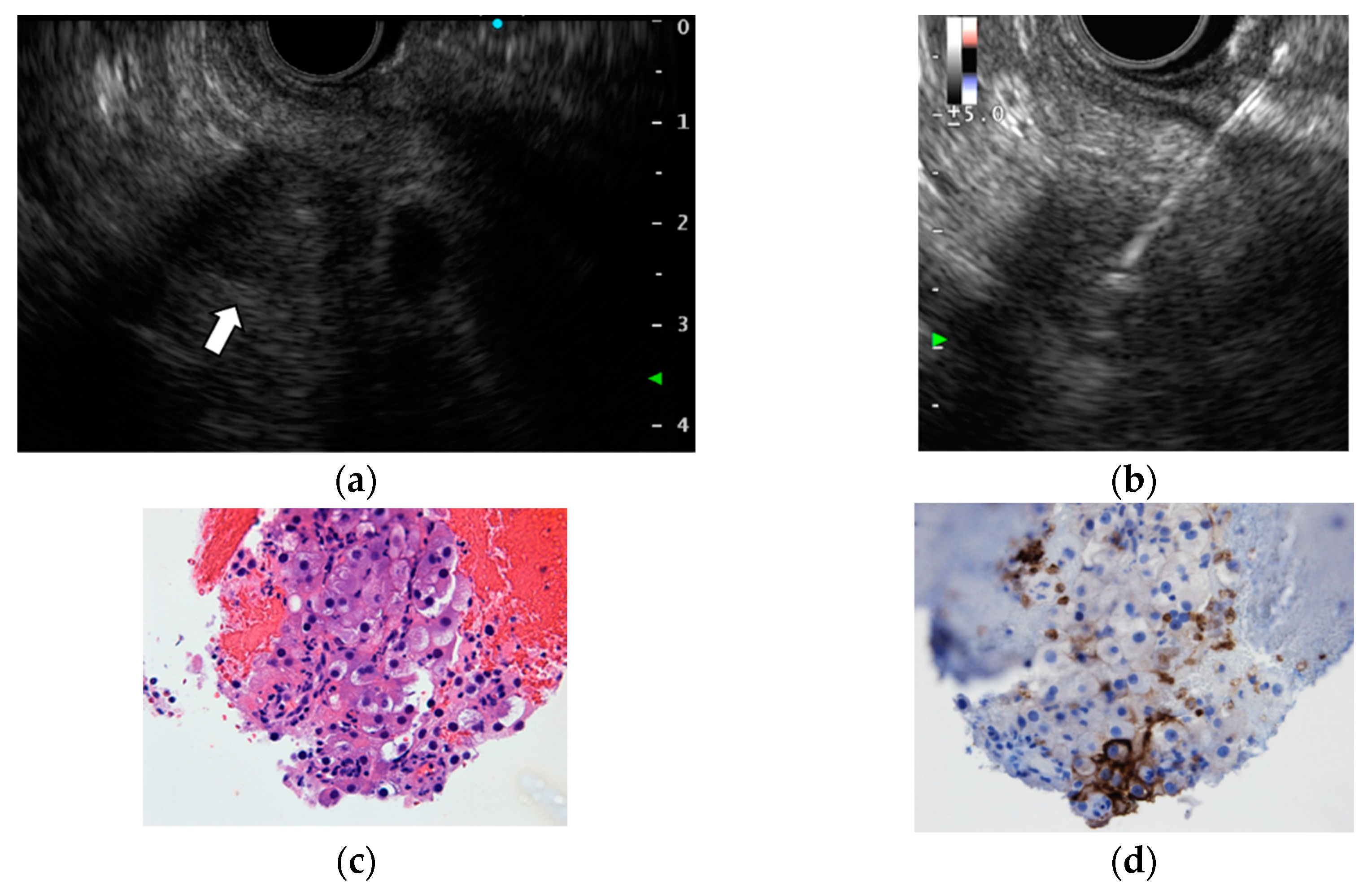Diagnostics 12 00753 g002a