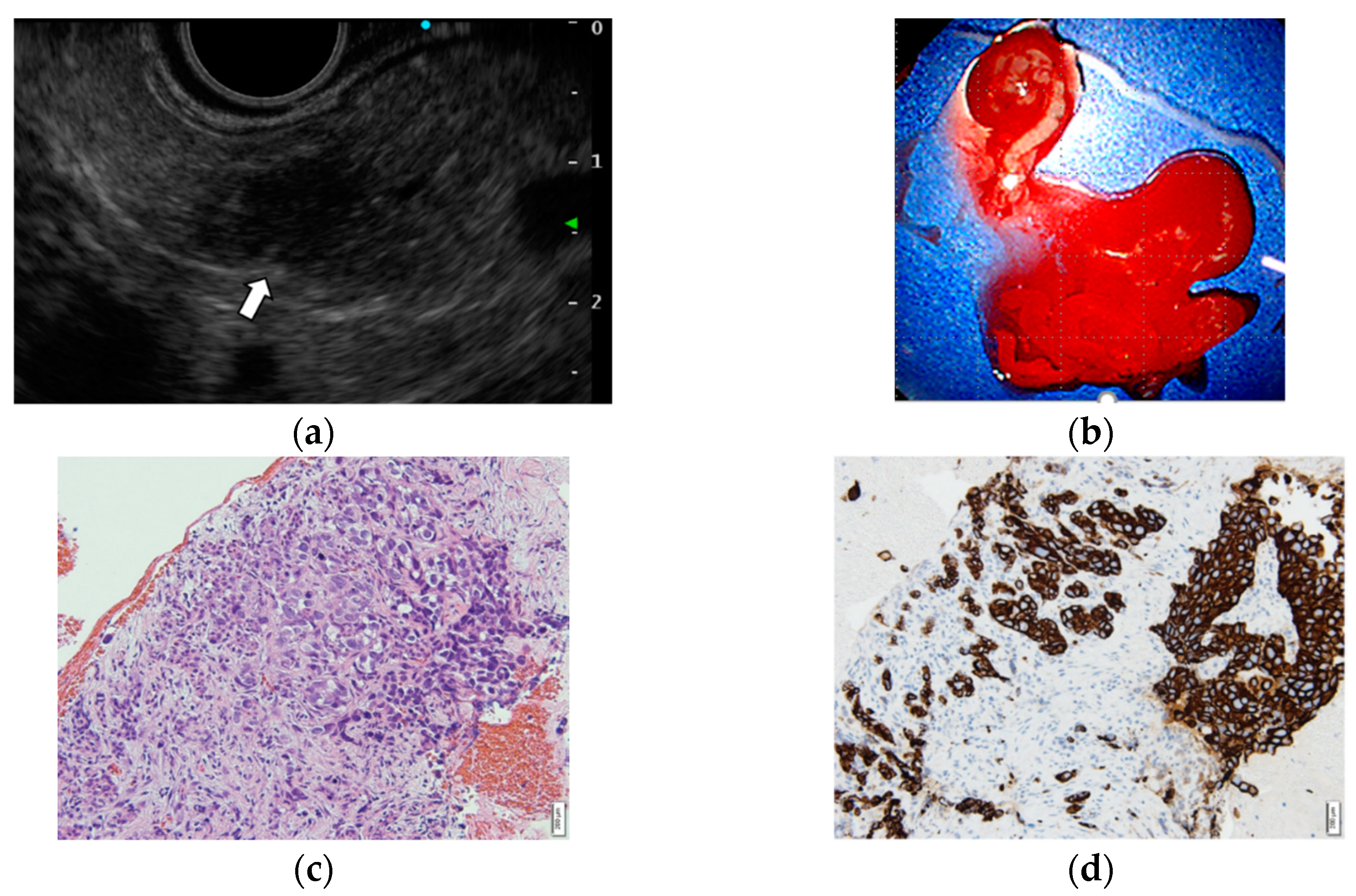 Diagnostics 12 00753 g003