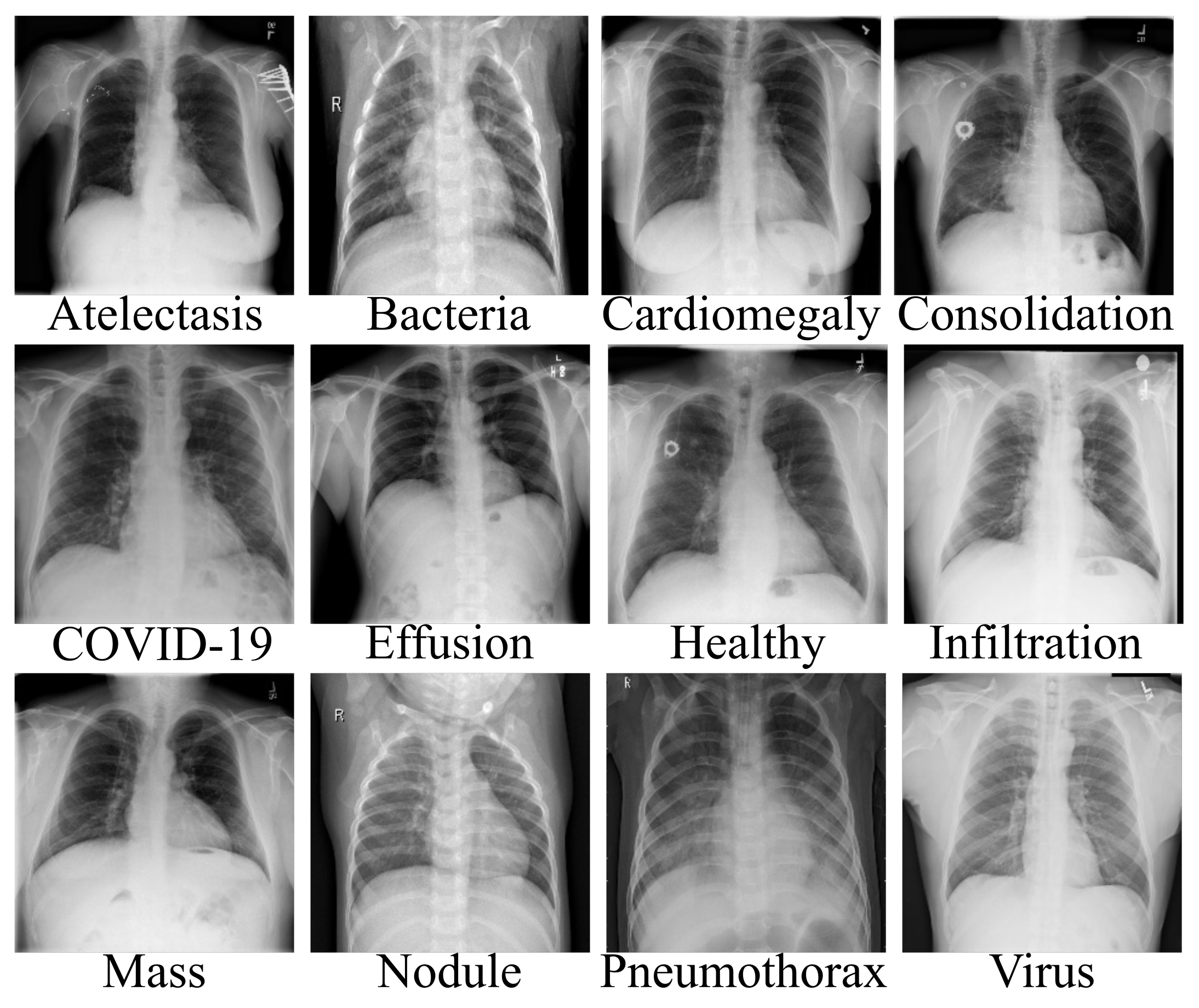 Diagnostics 12 00765 g001 Diagnostics 12 00765 g001