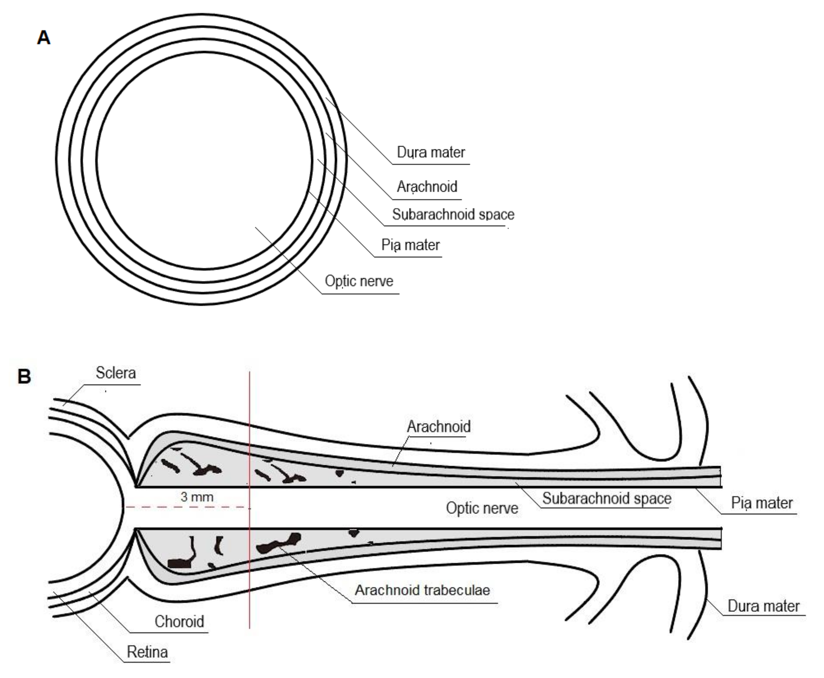 Diagnostics 12 00767 g002