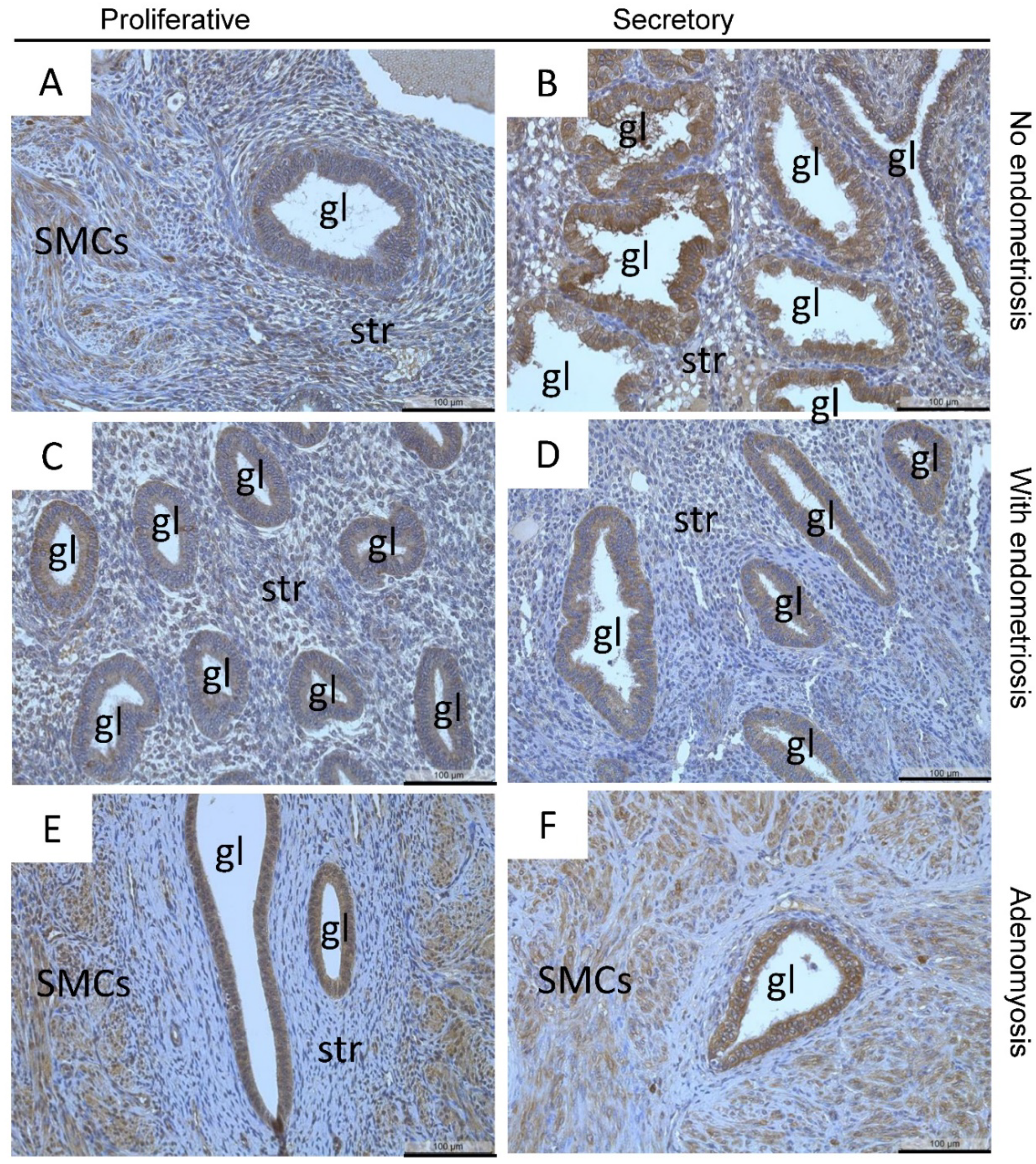 Diagnostics 12 00779 g002
