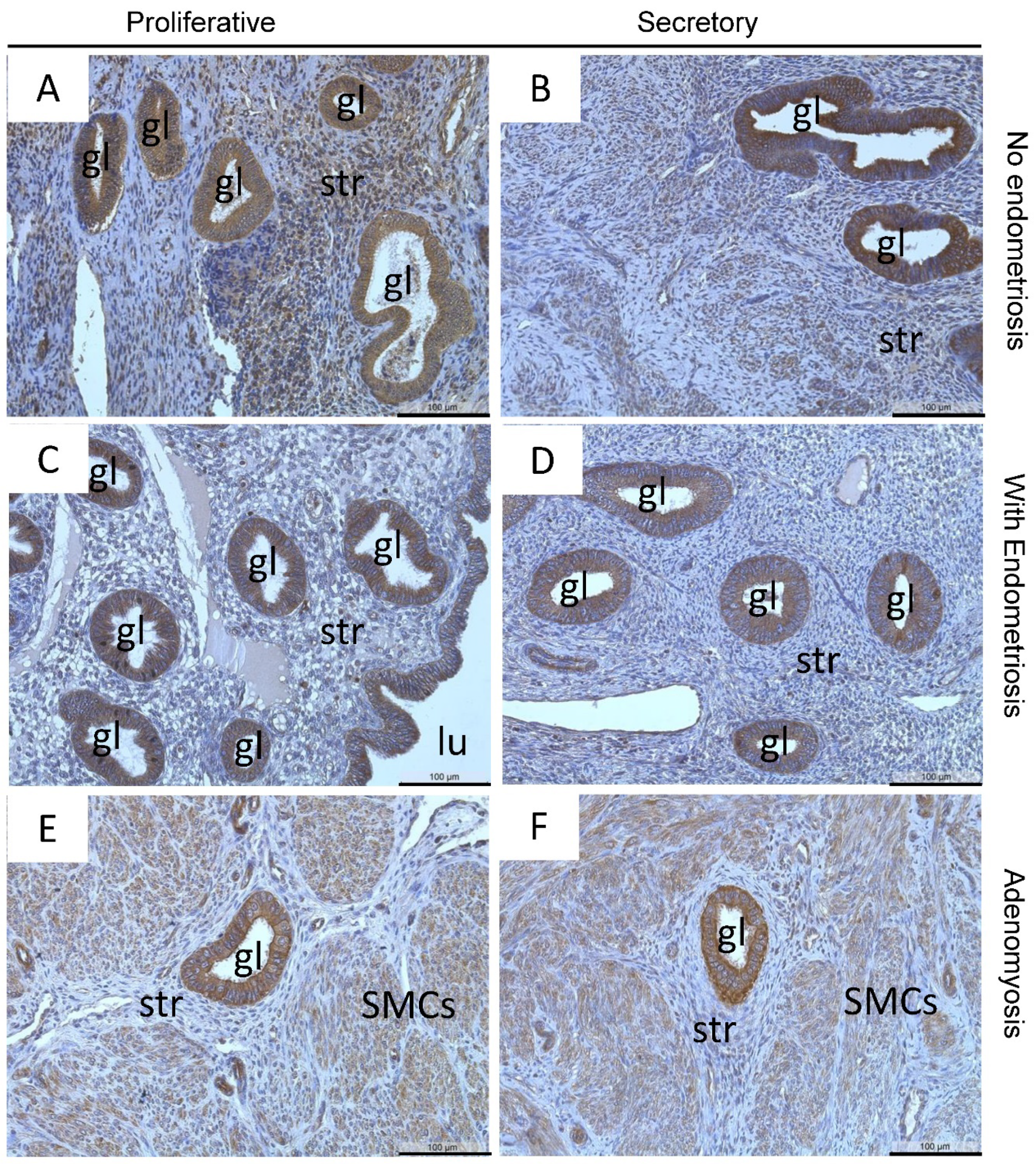 Diagnostics 12 00779 g004