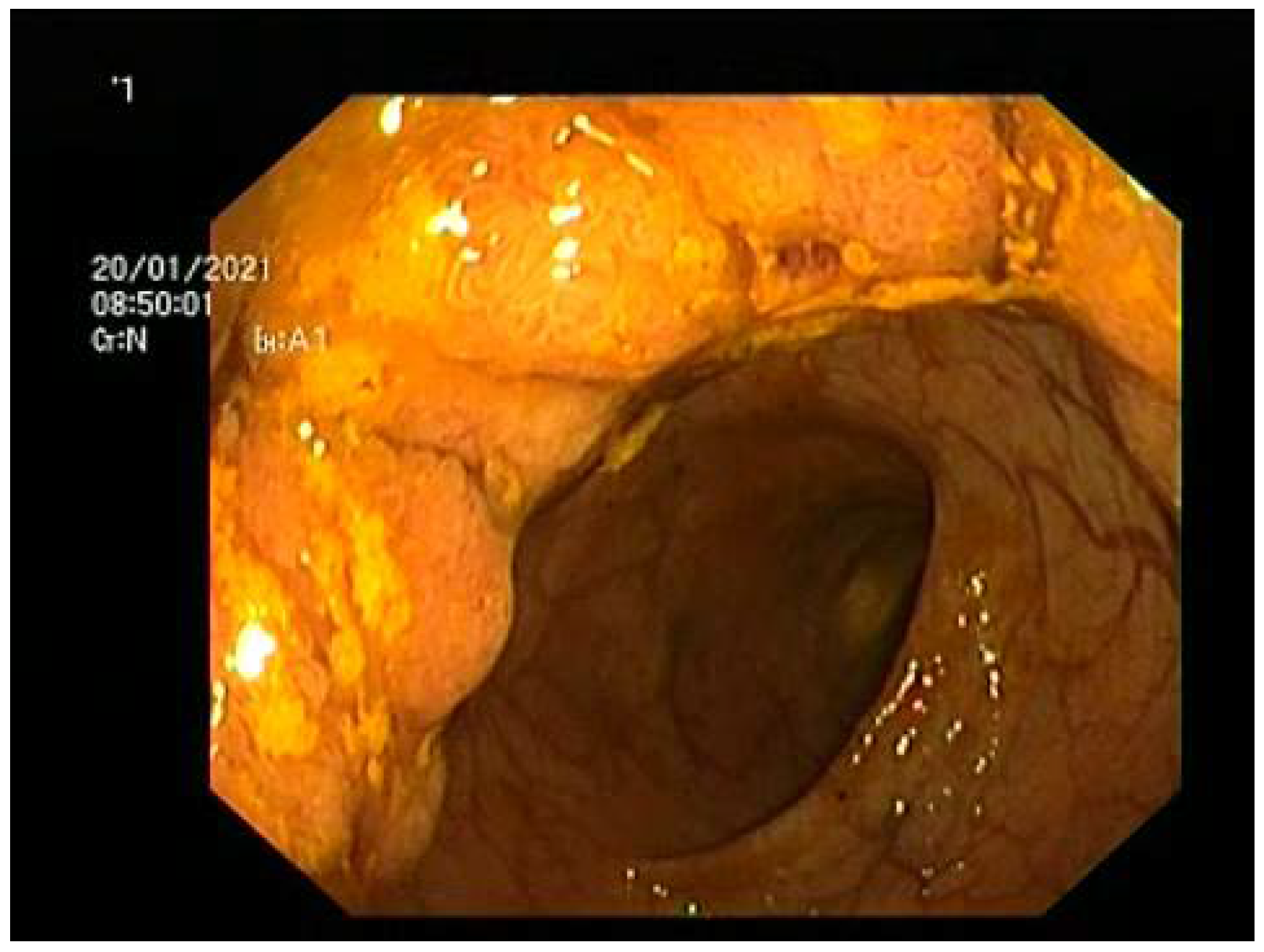 Diagnostics 12 00784 g002