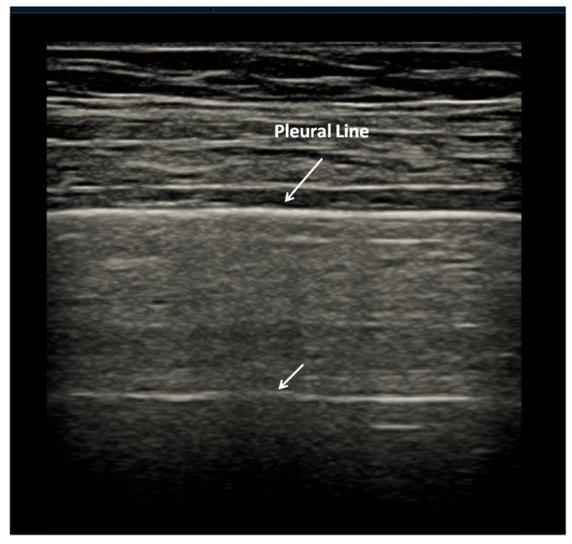 Diagnostics 12 00838 g001
