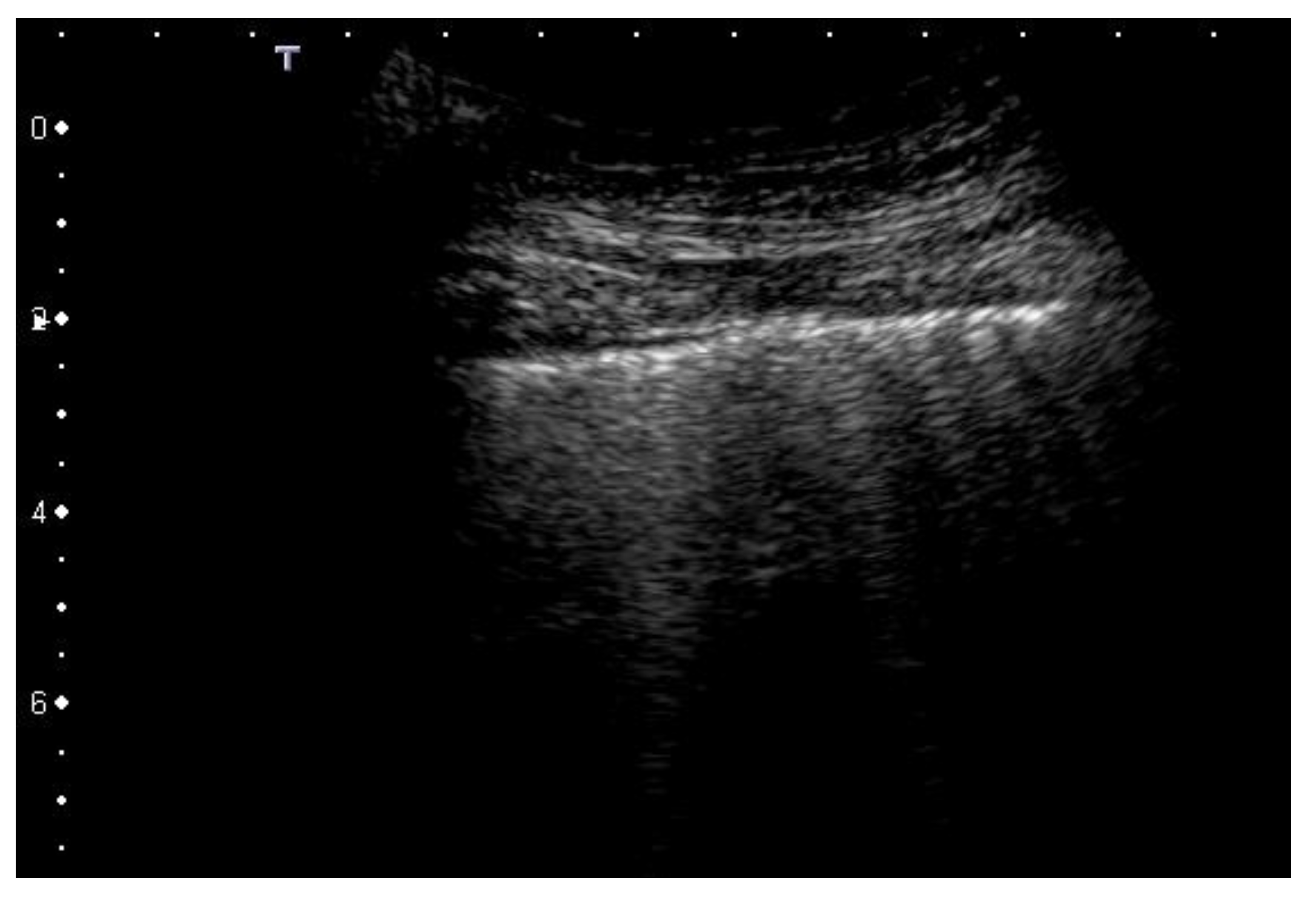 Diagnostics 12 00838 g003