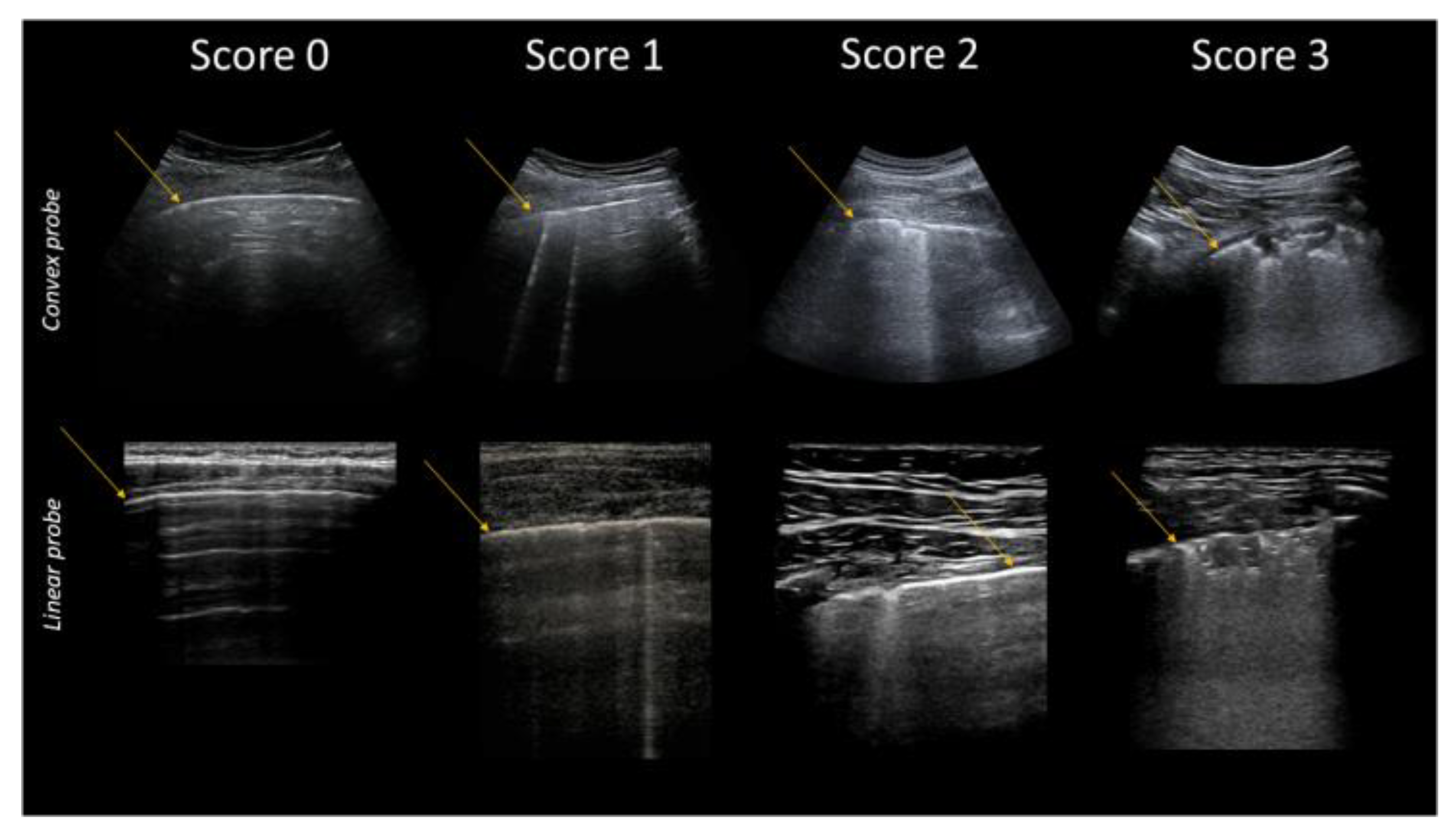 Diagnostics 12 00838 g004