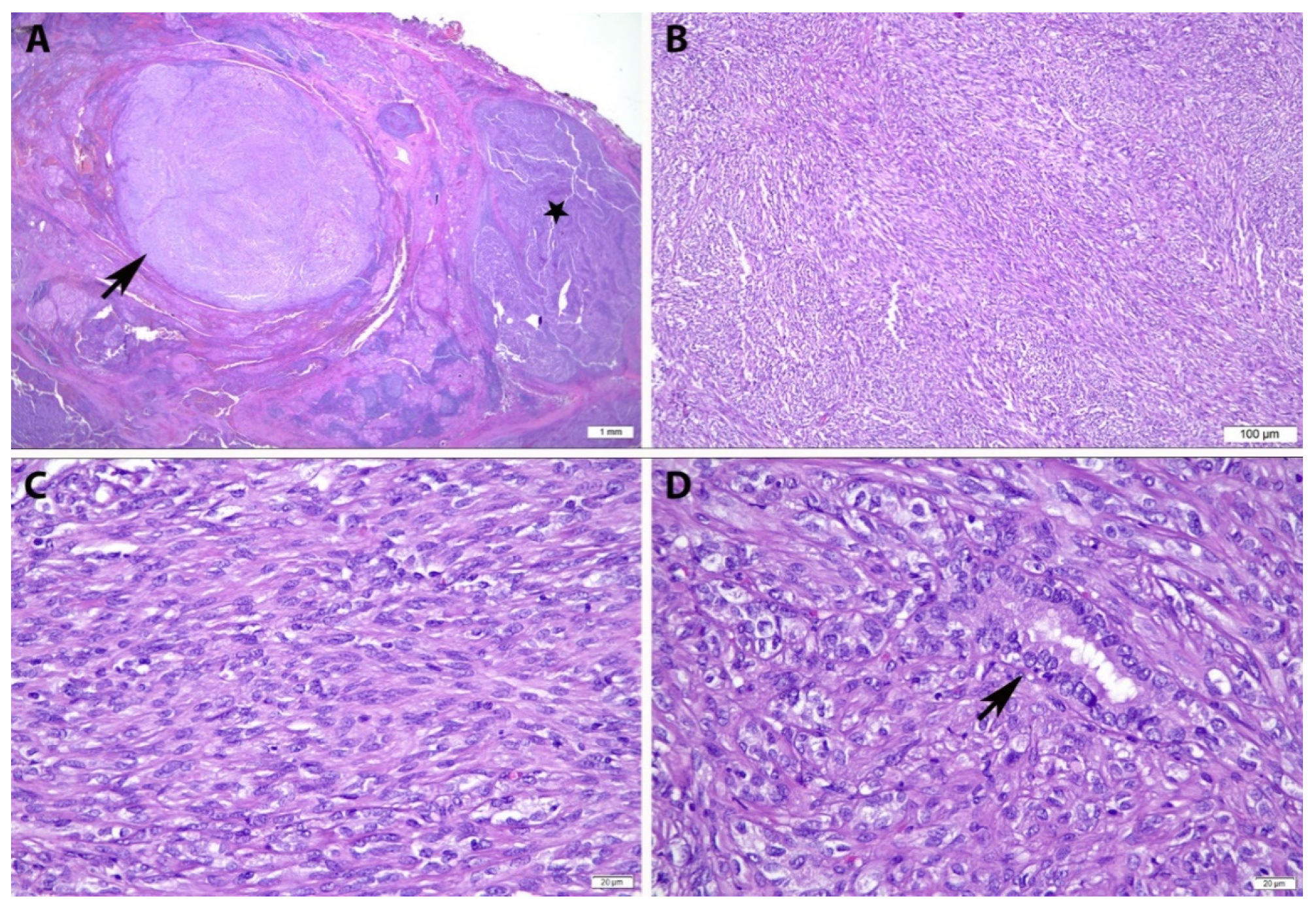 Diagnostics 12 00855 g002
