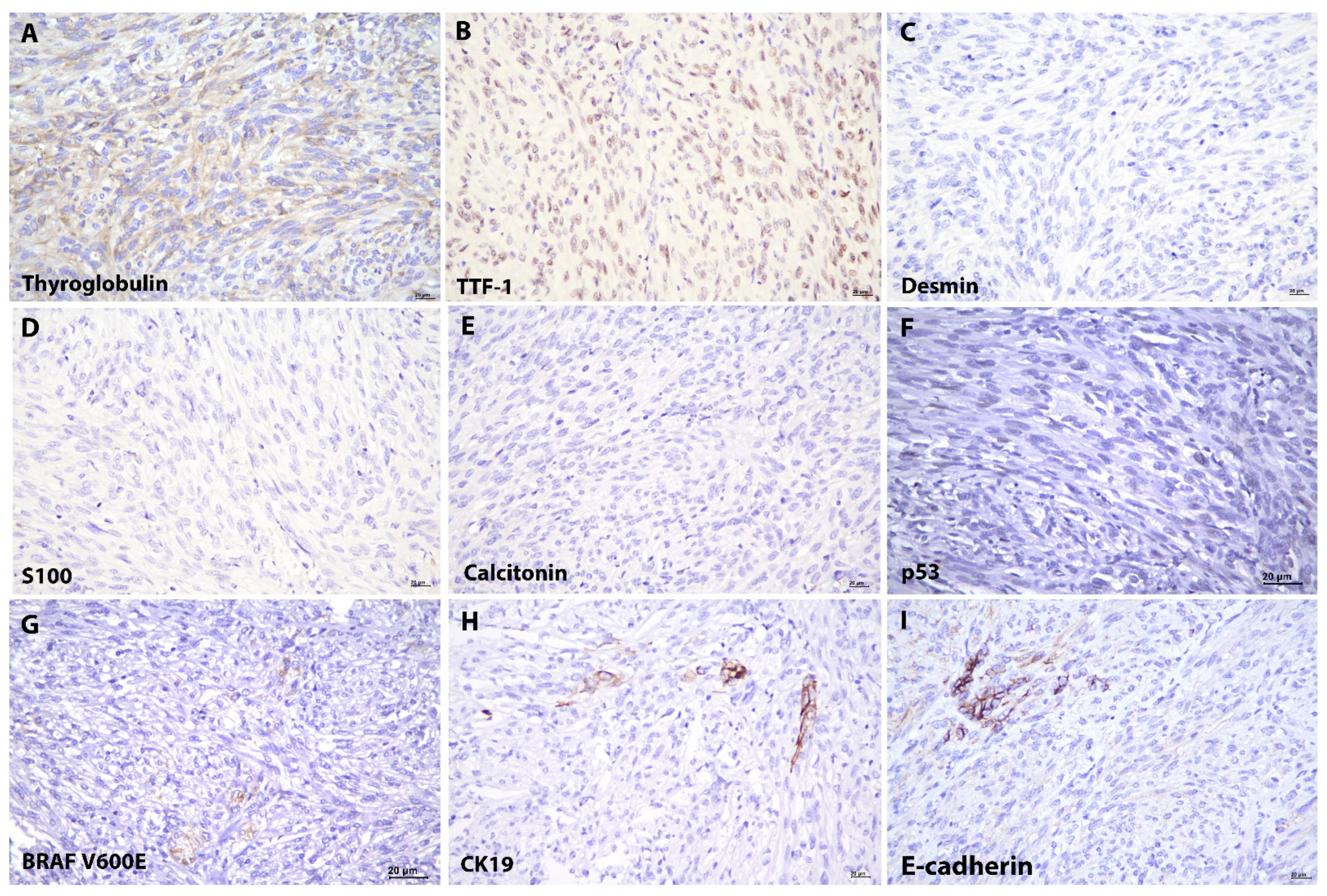Diagnostics 12 00855 g003