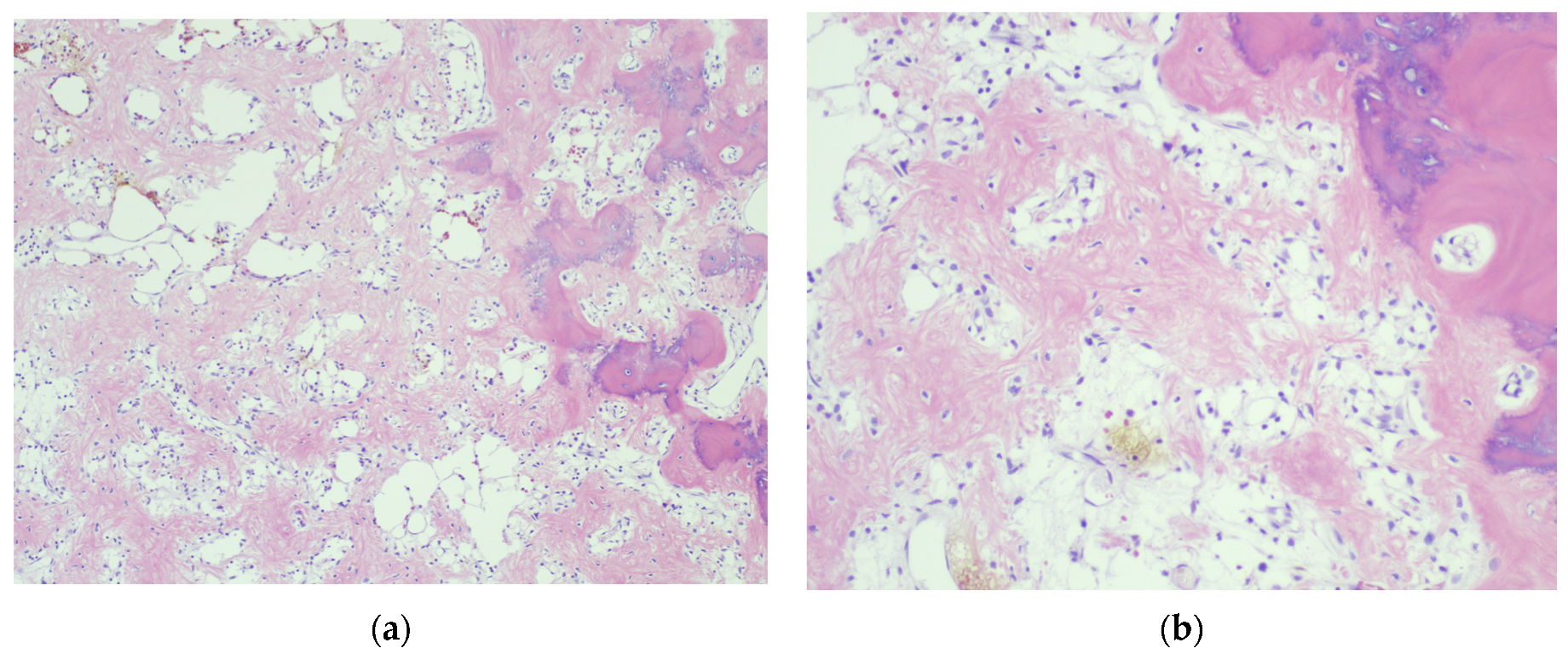 Diagnostics 12 00857 g005