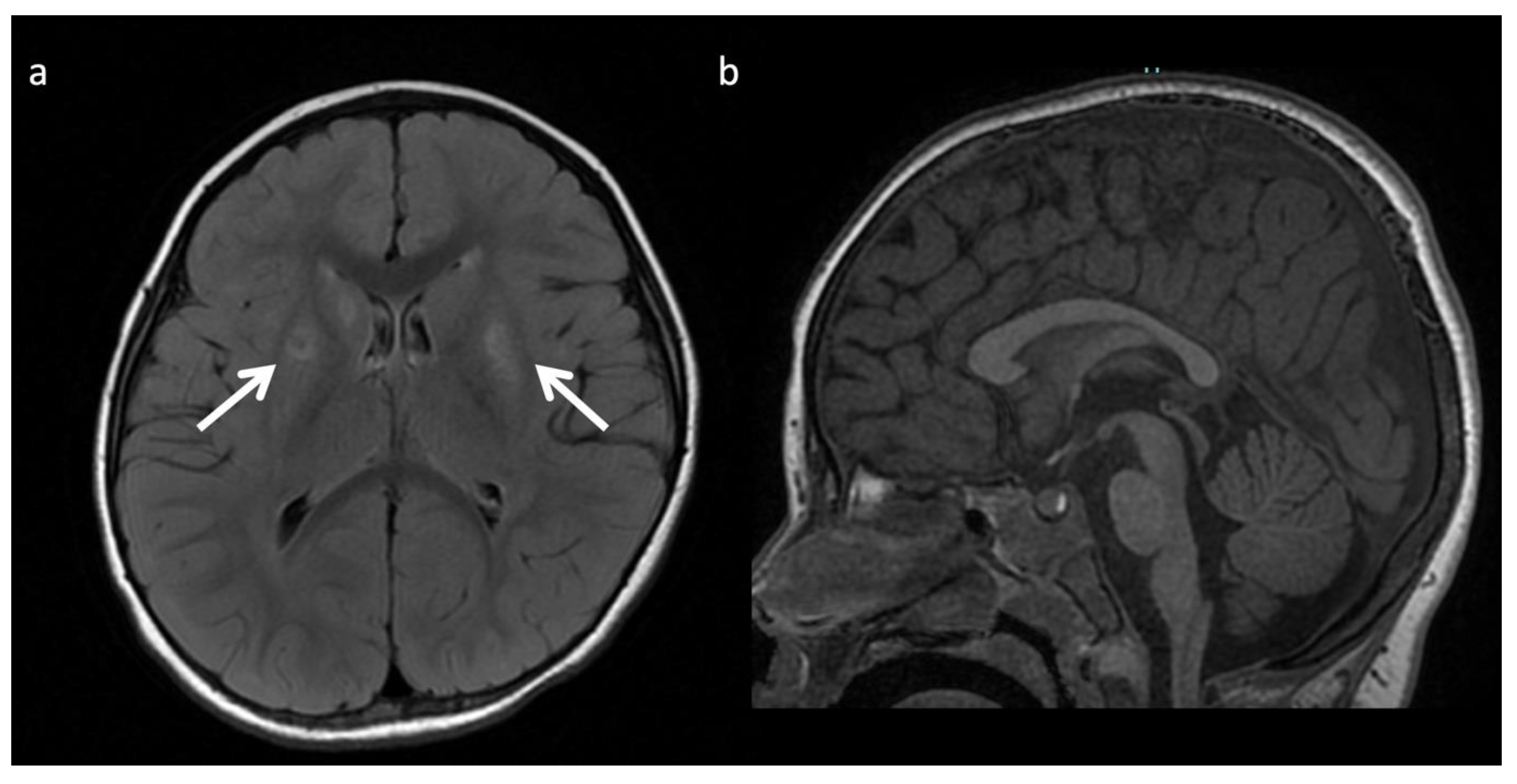 Diagnostics 12 00861 g016