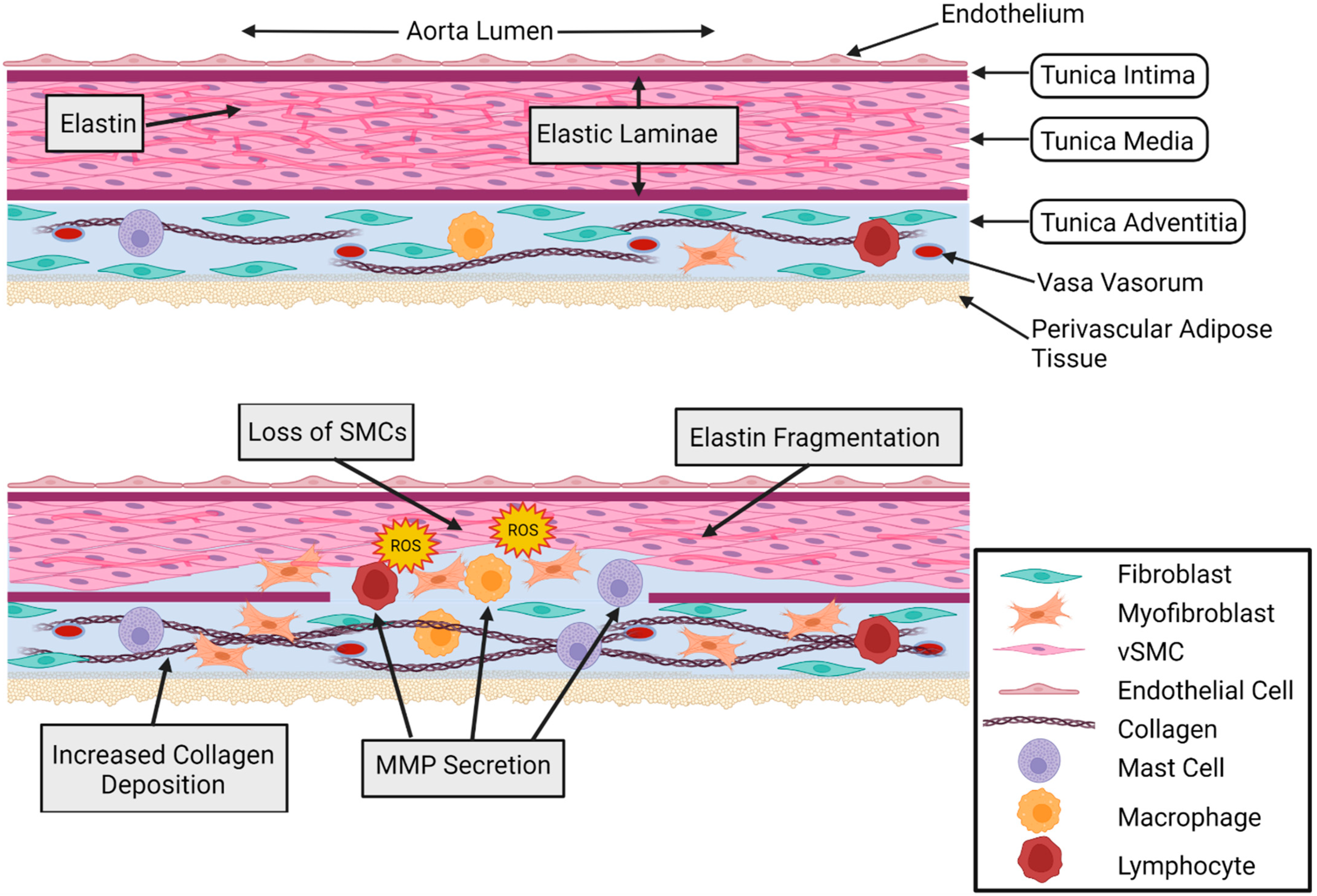 Diagnostics 12 00871 g001