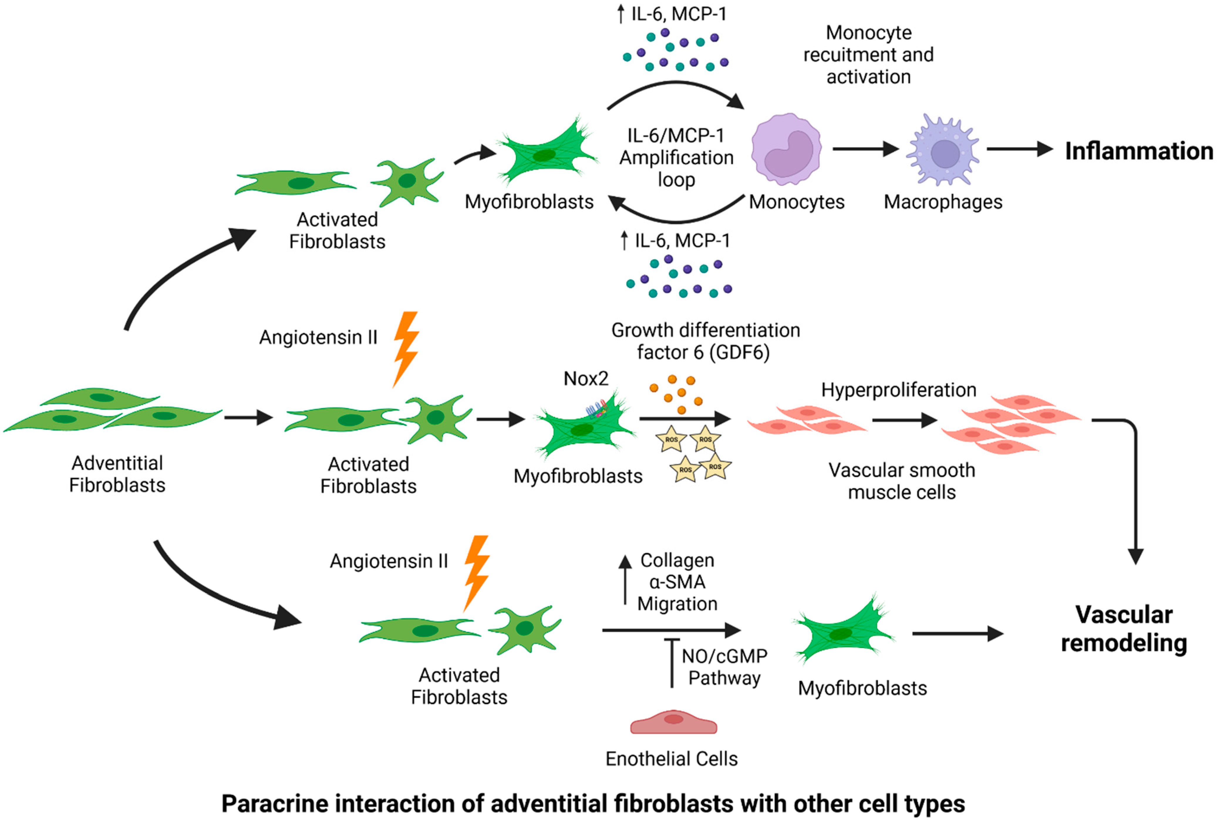Diagnostics 12 00871 g003
