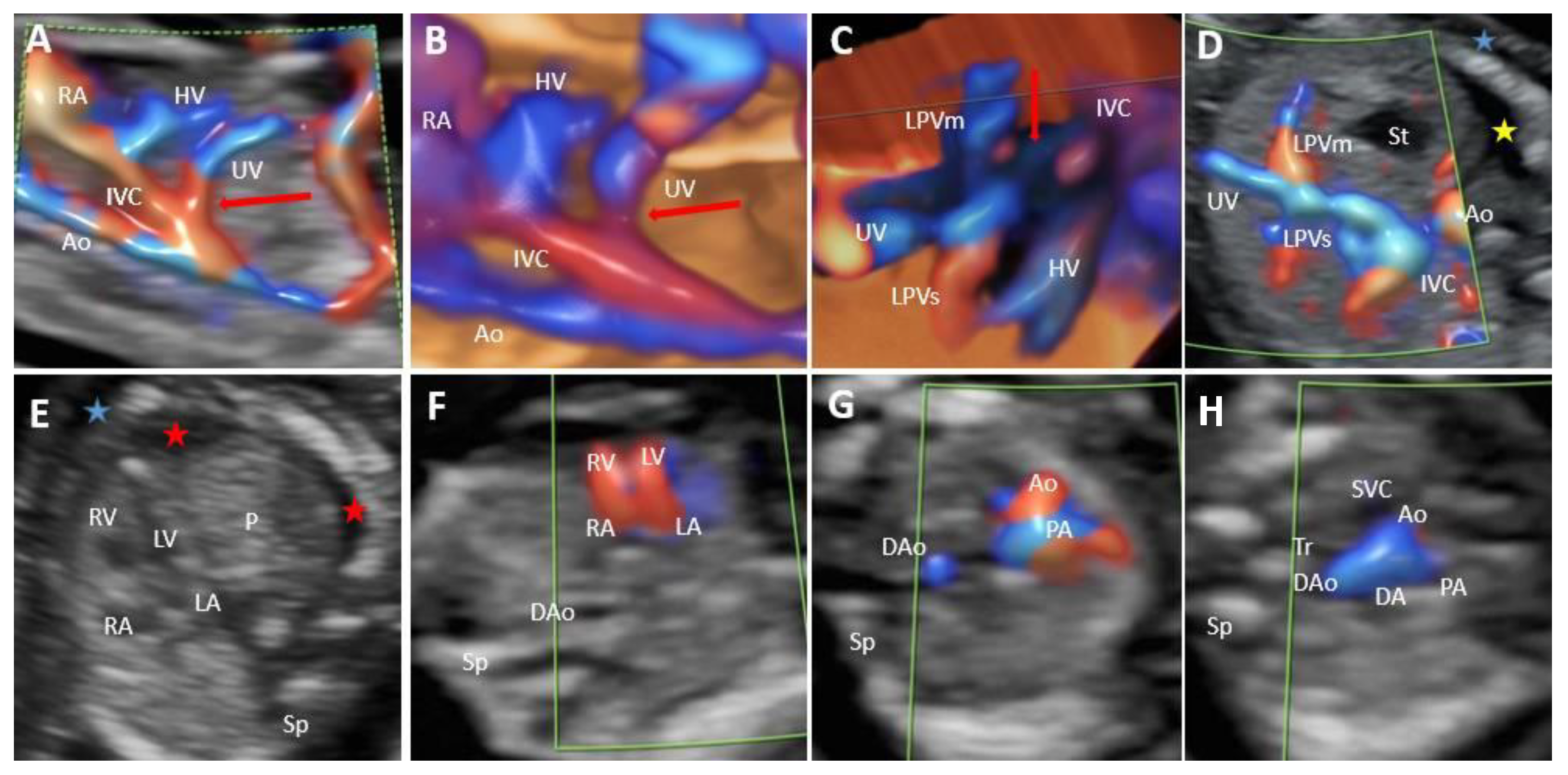 Diagnostics 12 00873 g002