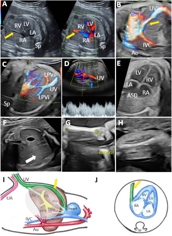 Diagnostics 12 00873 g003