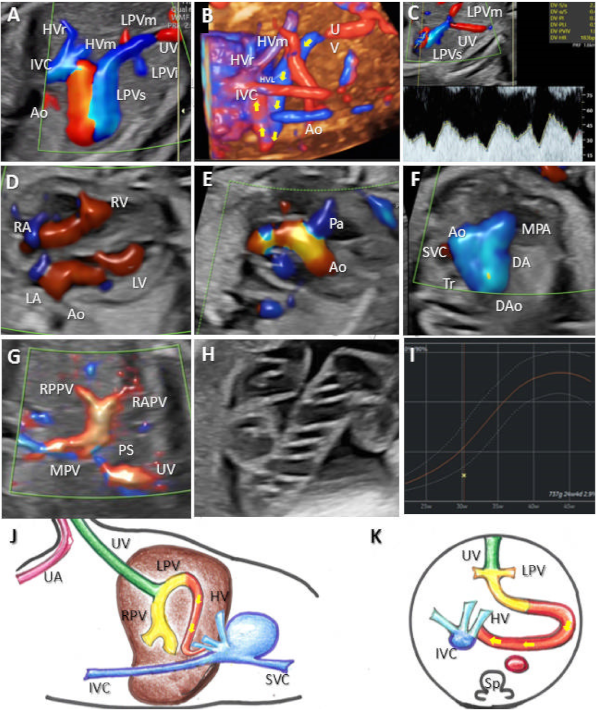 Diagnostics 12 00873 g005