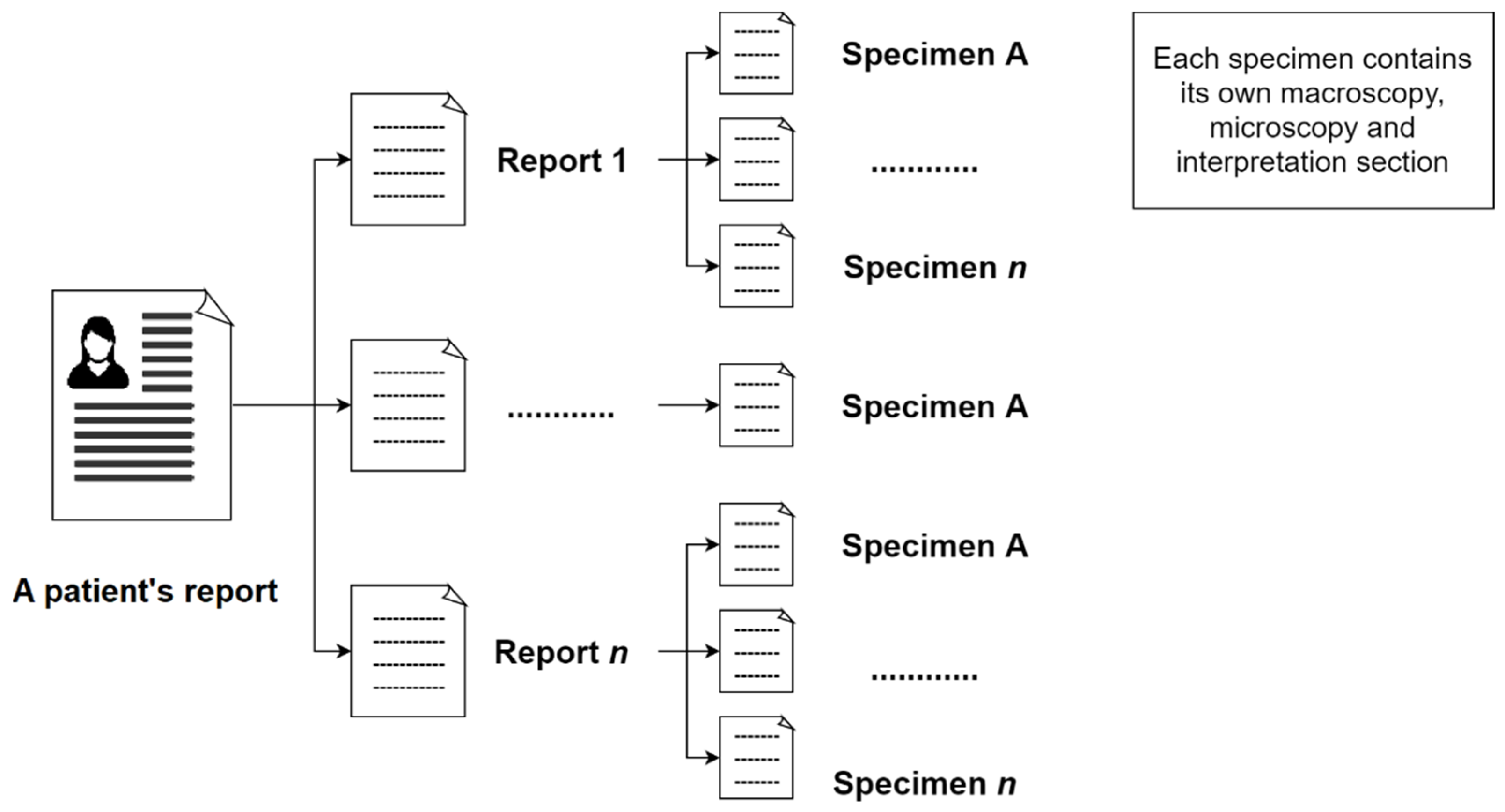 Diagnostics 12 00879 g001