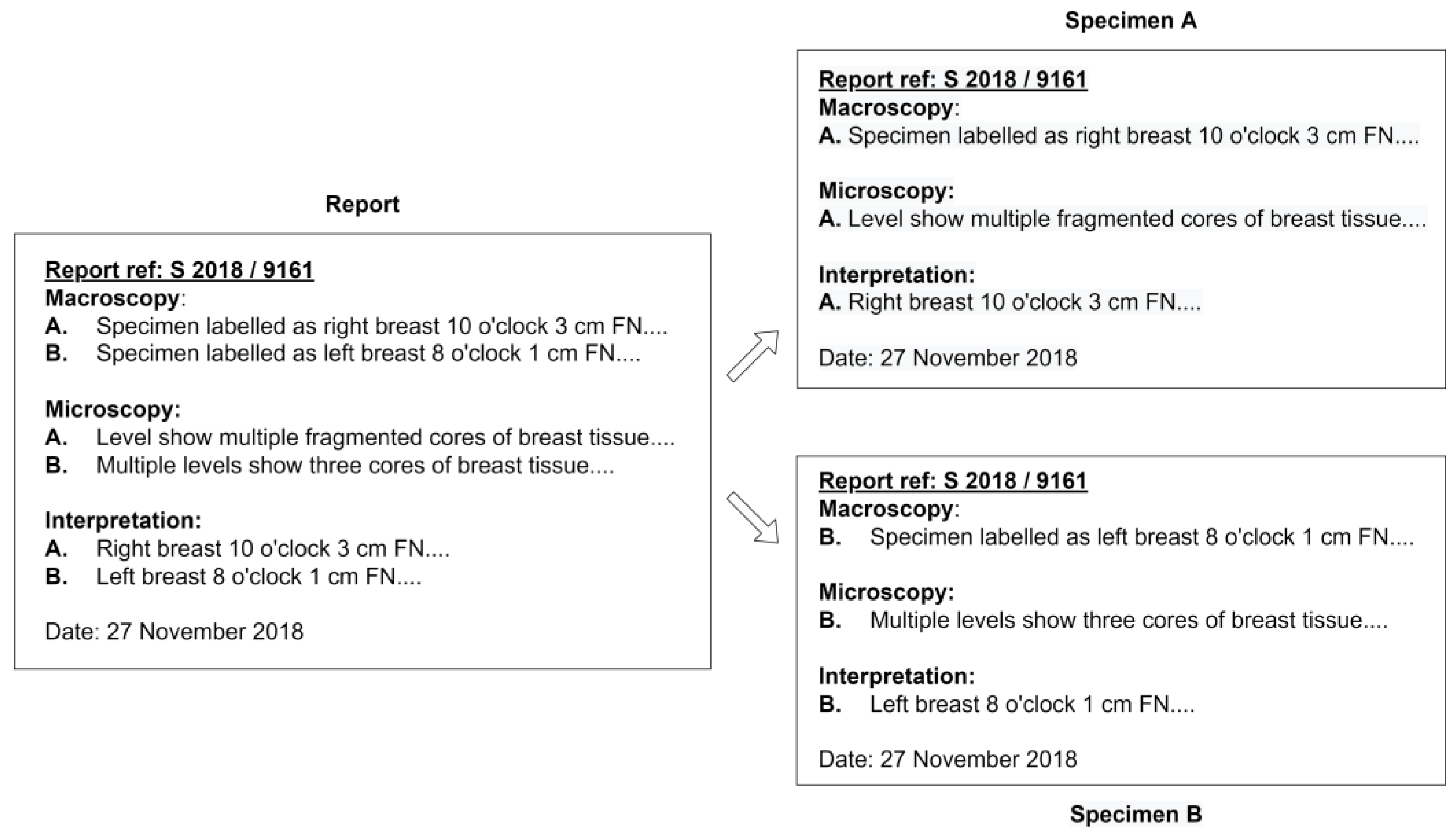 Diagnostics 12 00879 g003