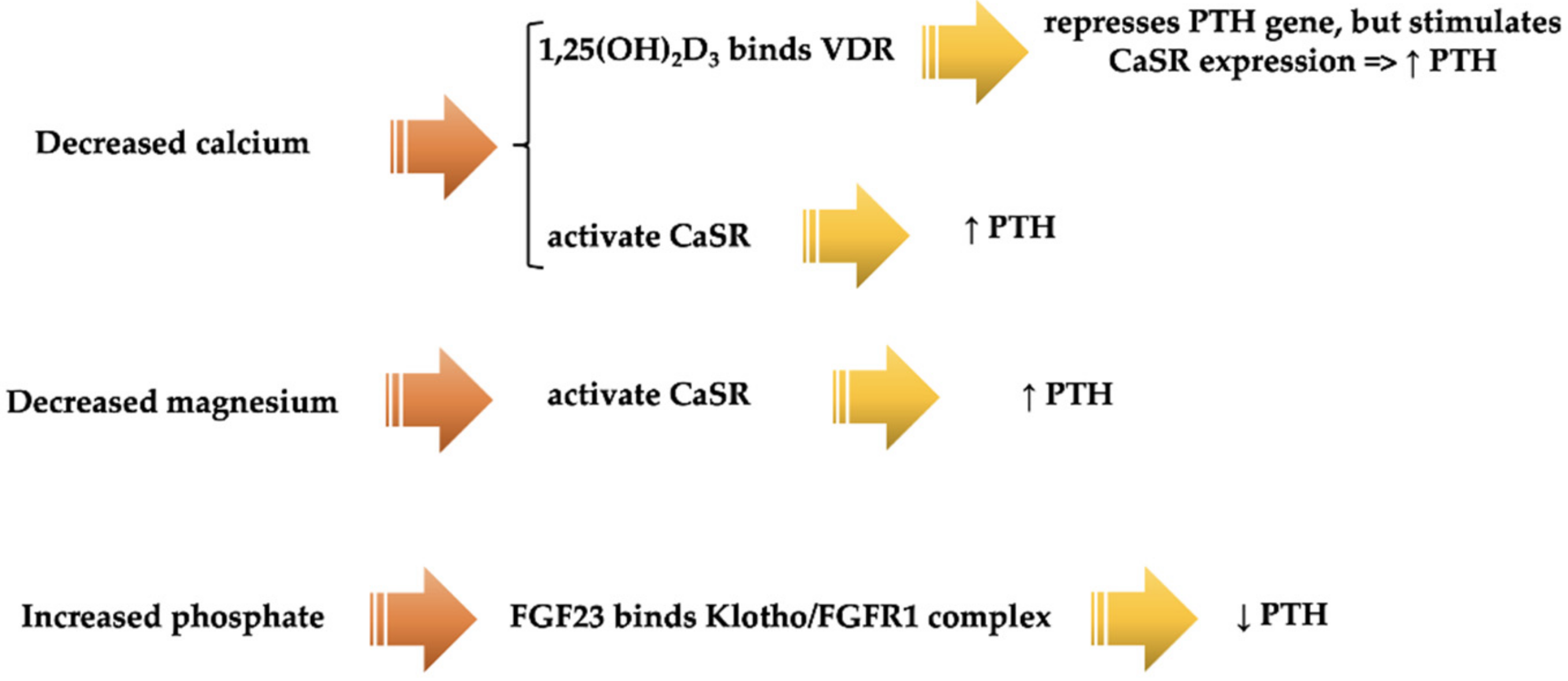 Diagnostics 12 00880 g005