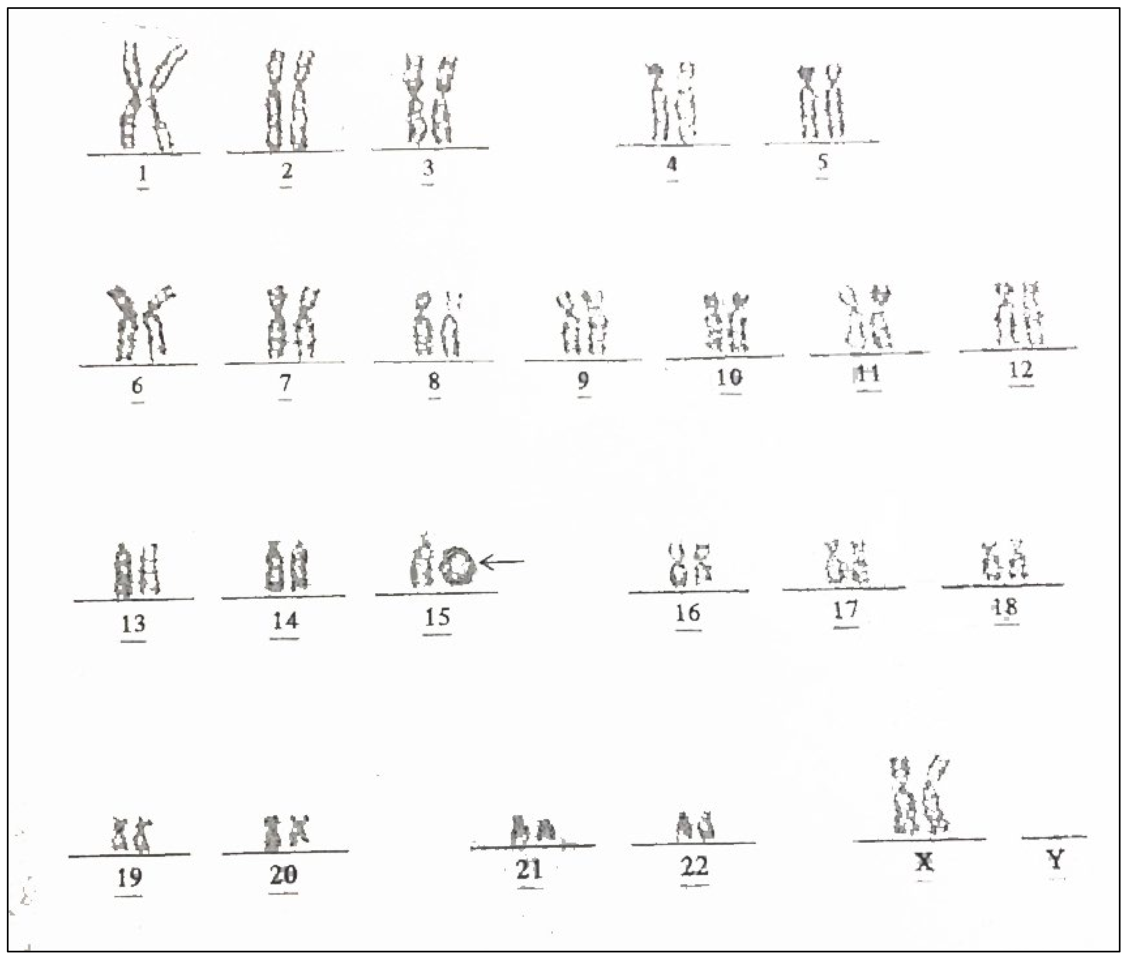 Diagnostics 12 00885 g002