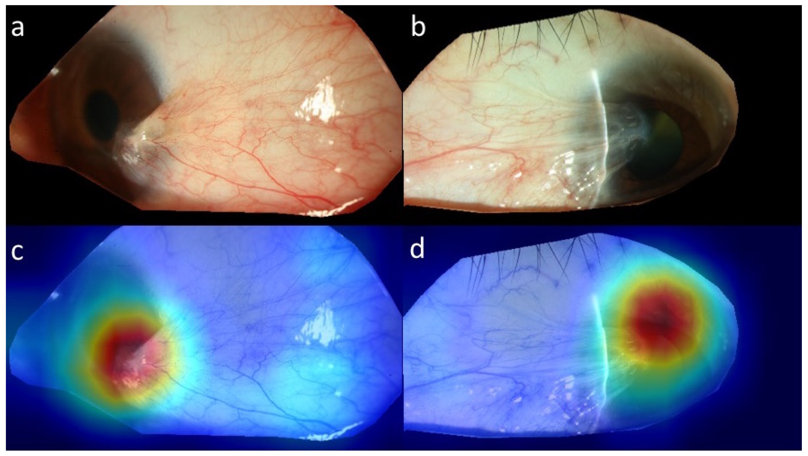 Diagnostics 12 00888 g004