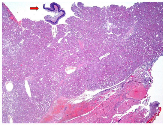 Diagnostics 12 00892 g002