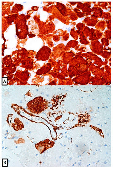 Diagnostics 12 00892 g007