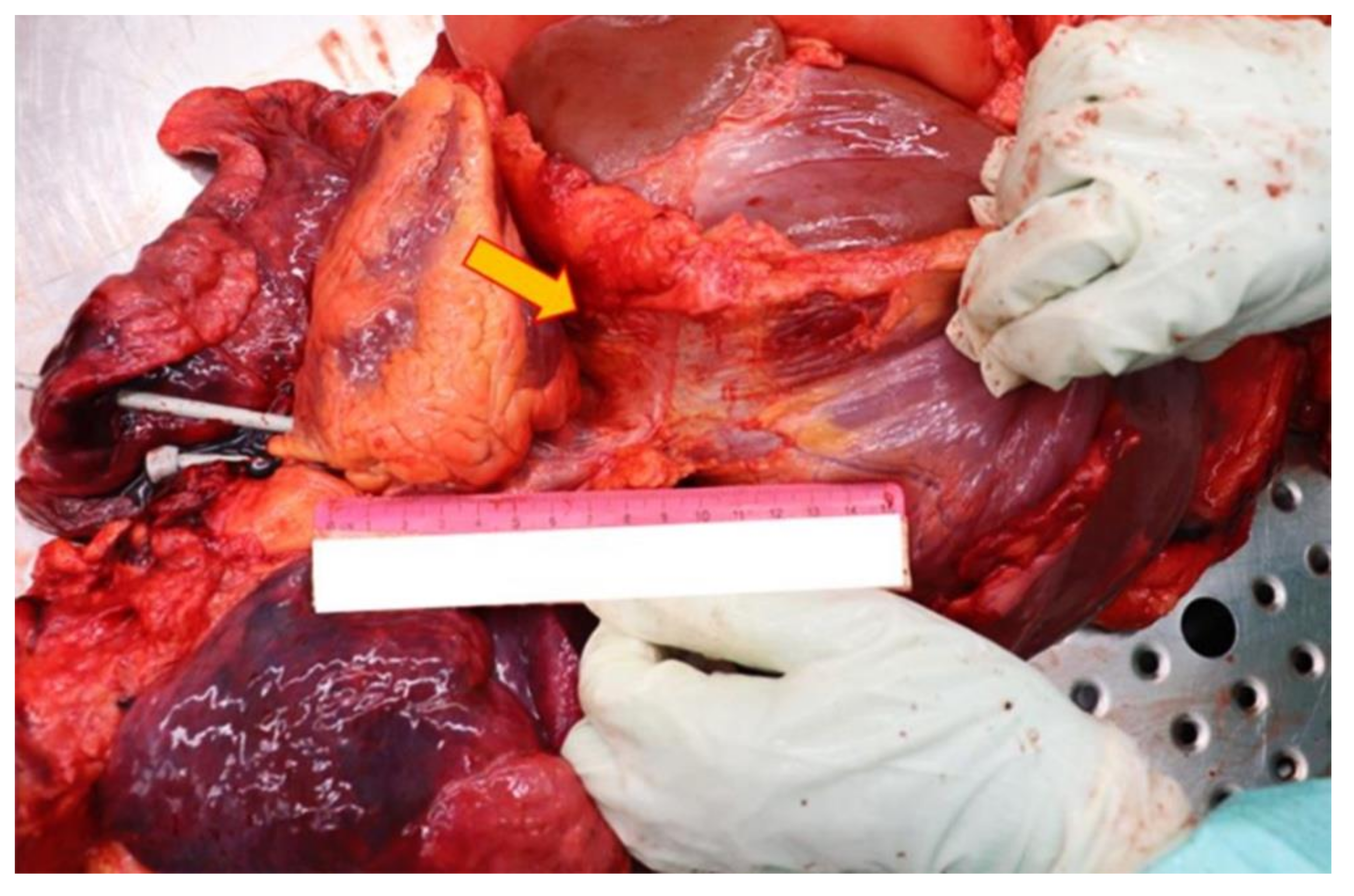 Diagnostics 12 00899 g003