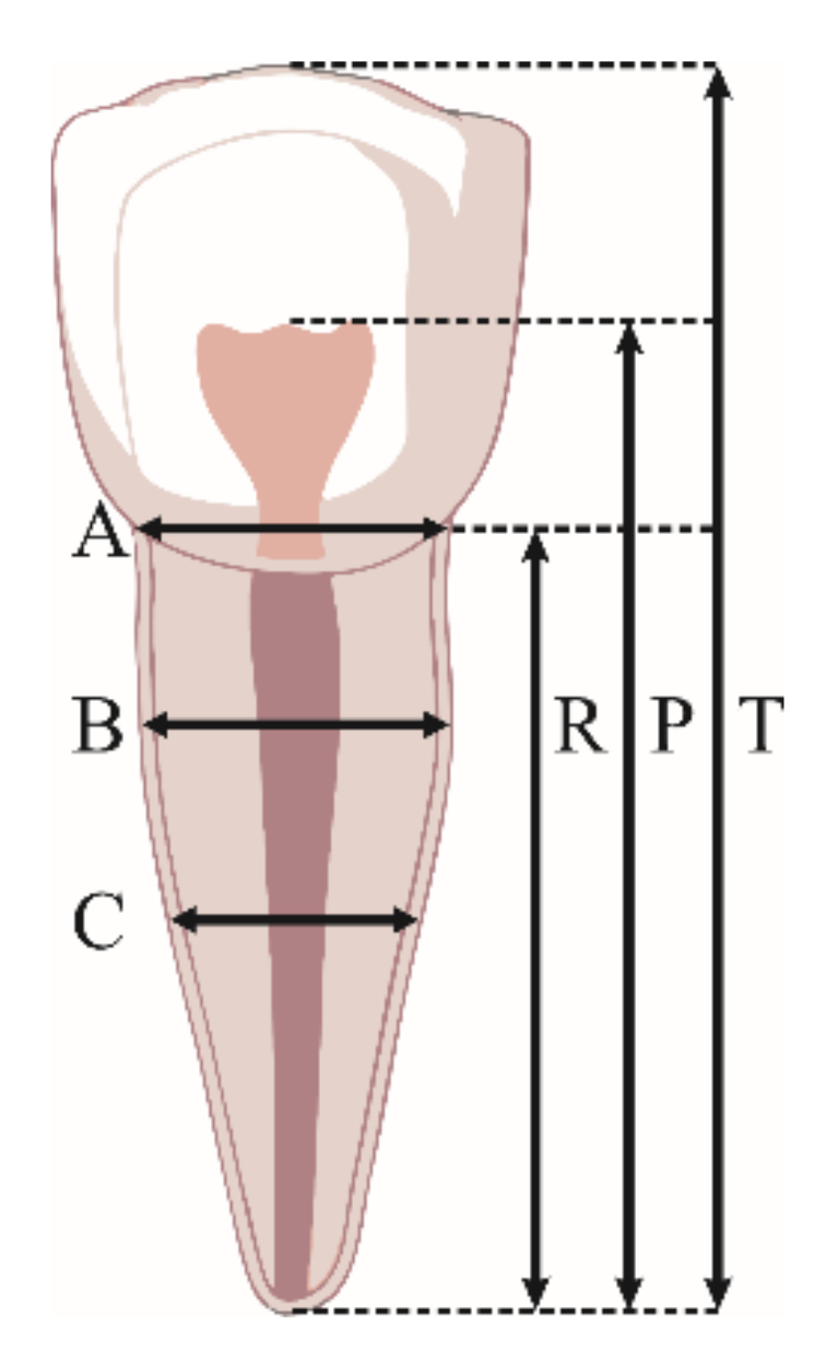 Diagnostics 12 00911 g002
