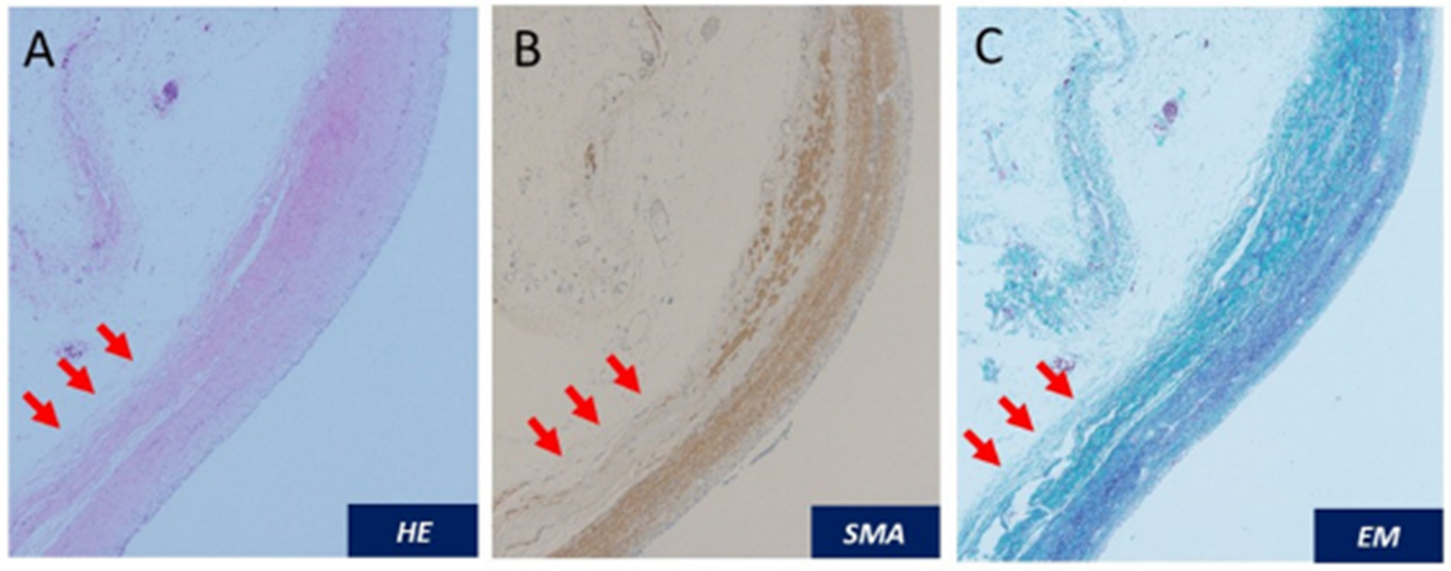Diagnostics 12 00913 g004