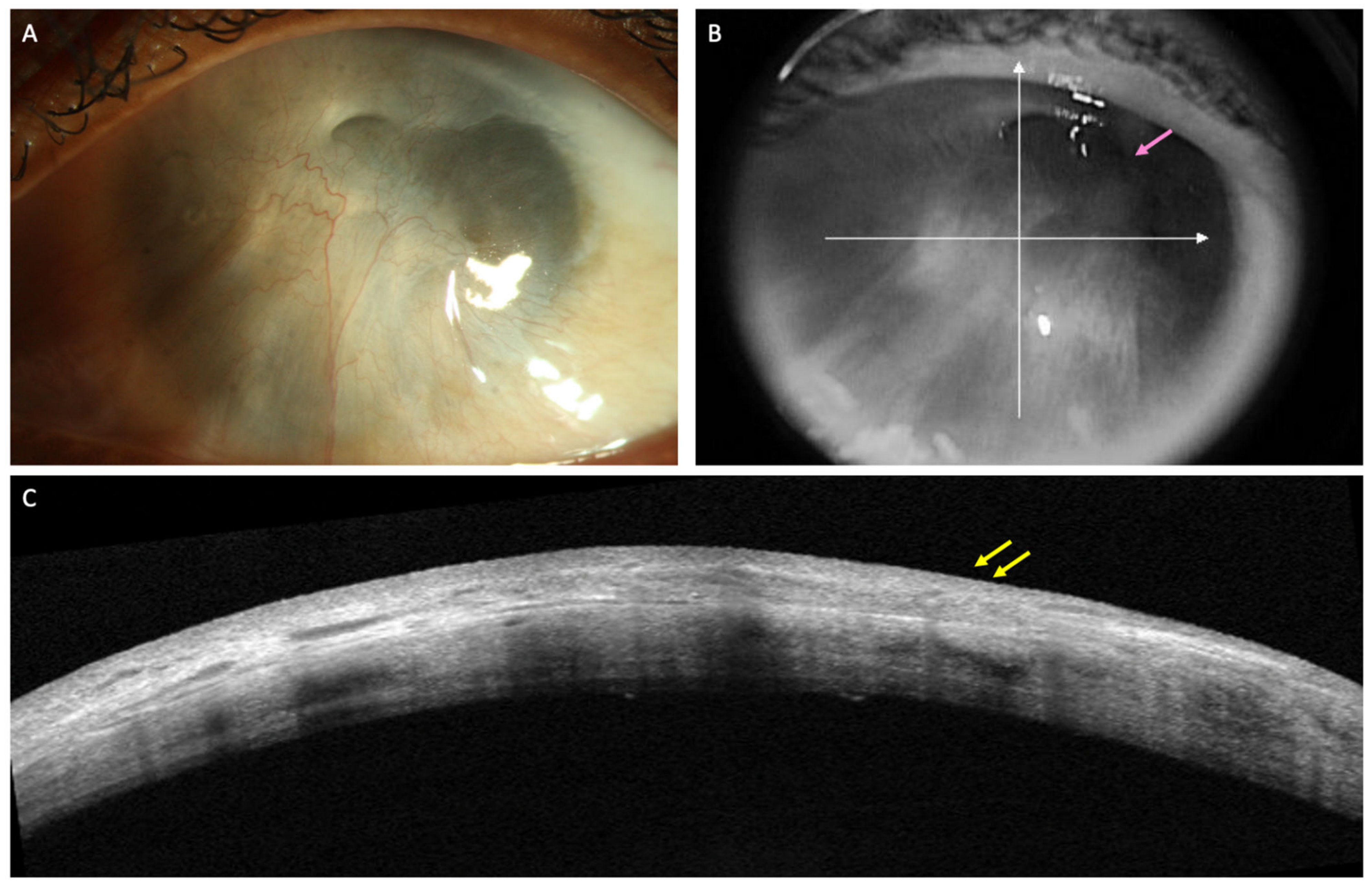 Diagnostics 12 00918 g002