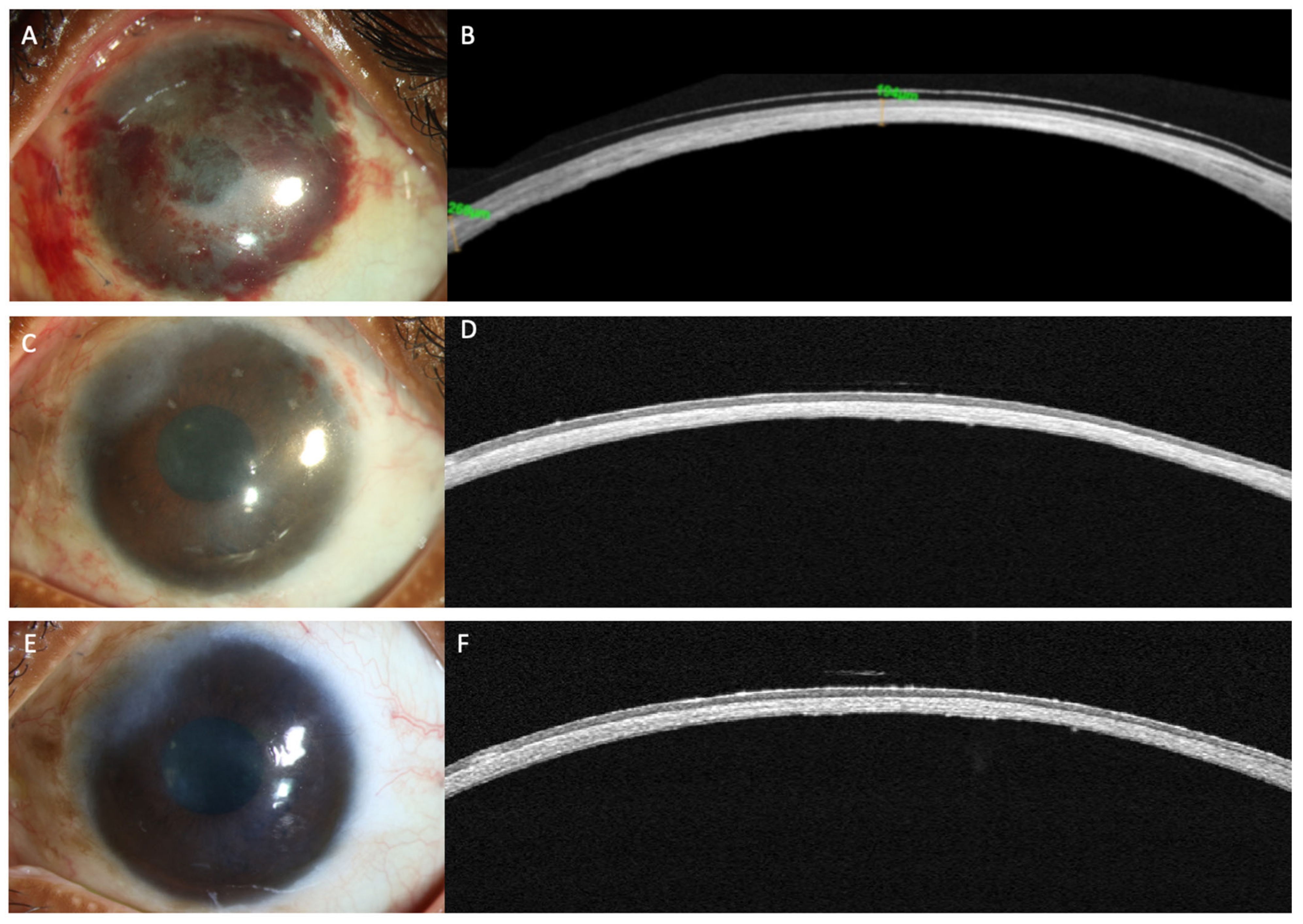 Diagnostics 12 00918 g003