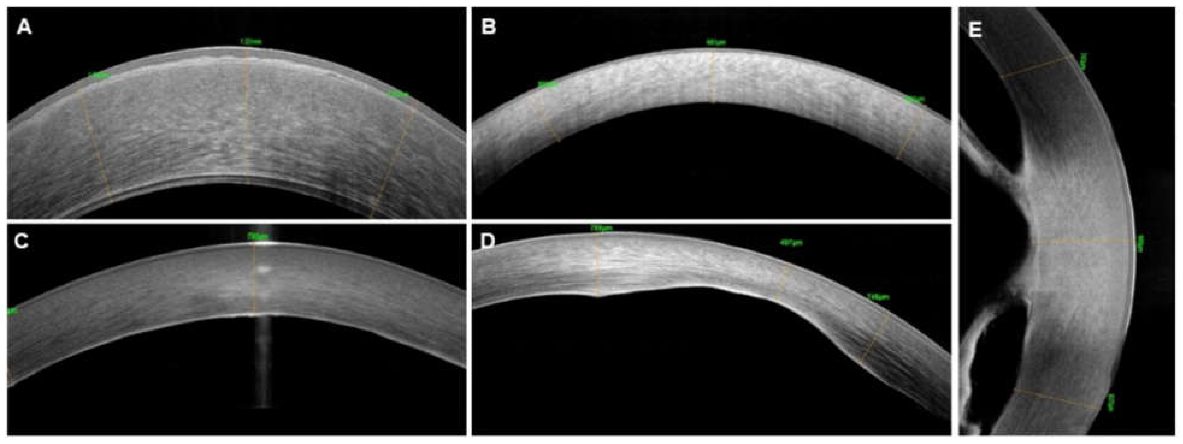 Diagnostics 12 00918 g006