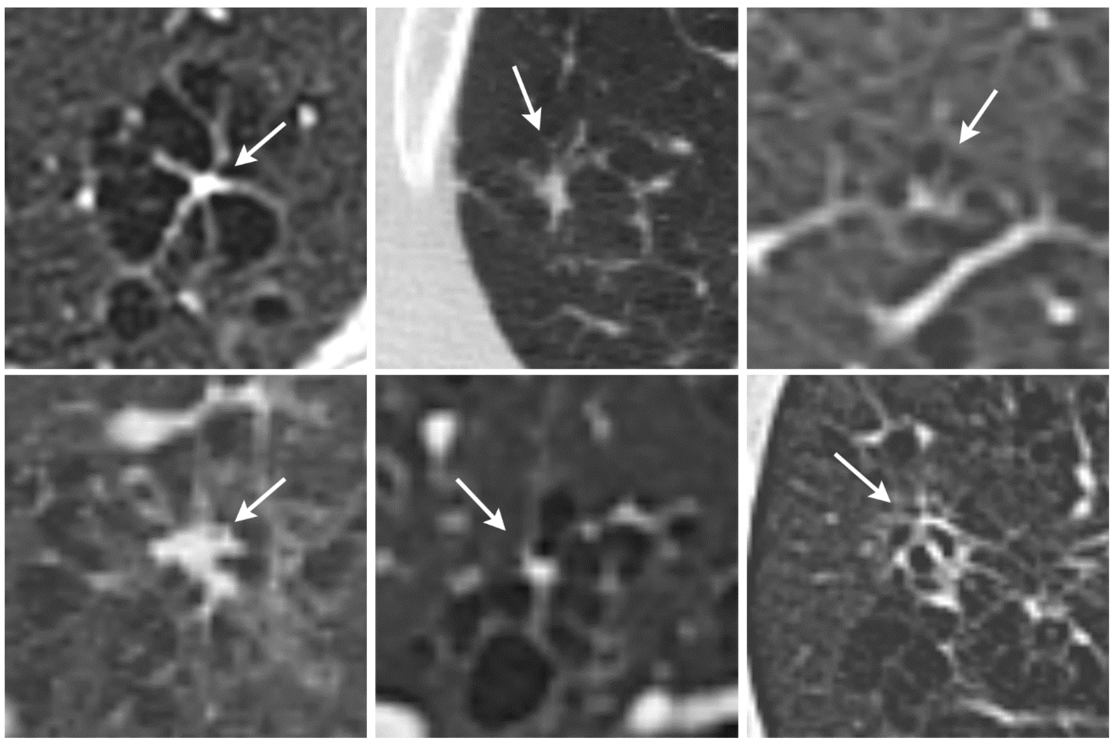 Diagnostics 12 00937 g002