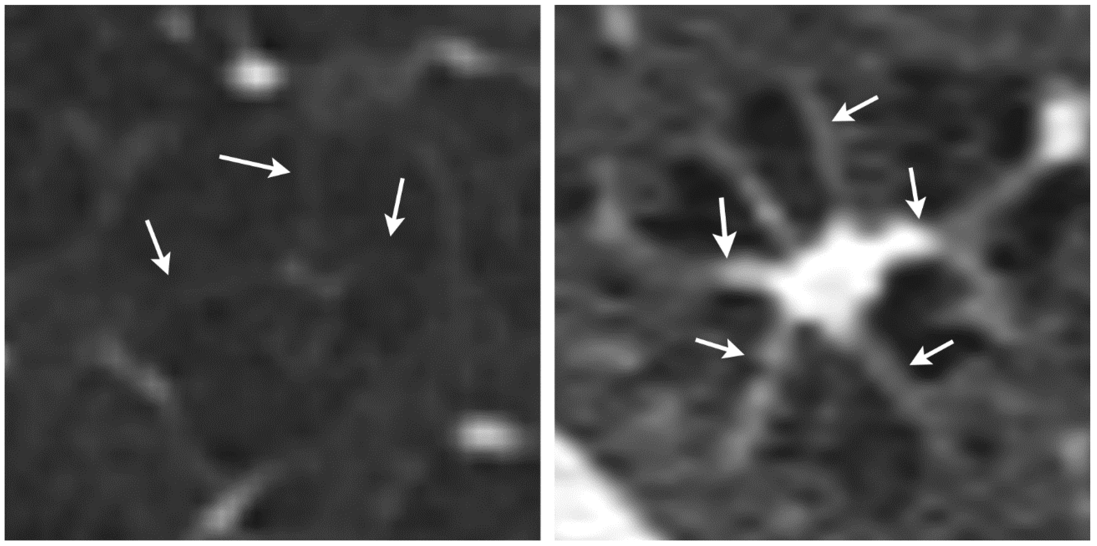 Diagnostics 12 00937 g003