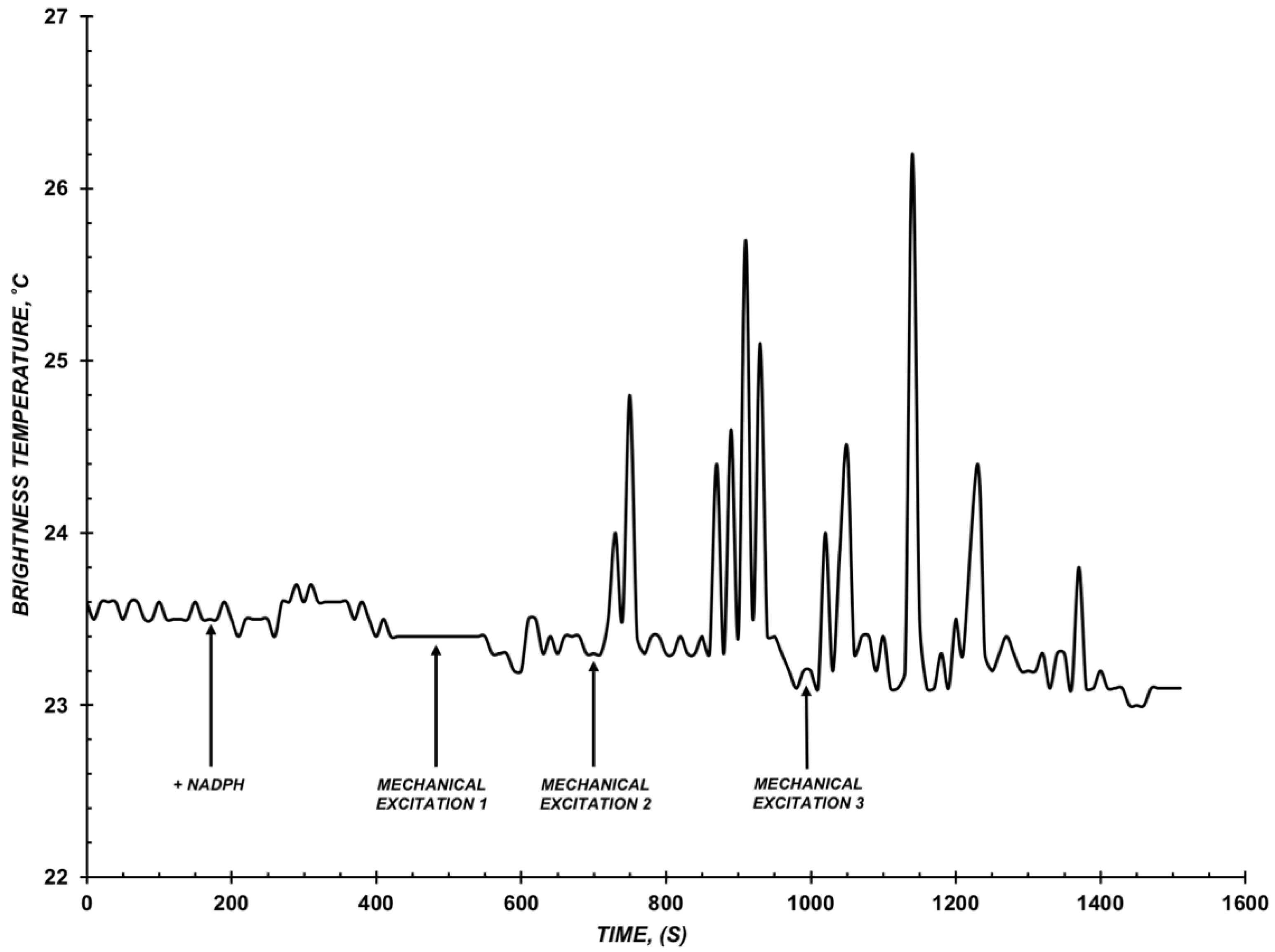 Diagnostics 12 00943 g003