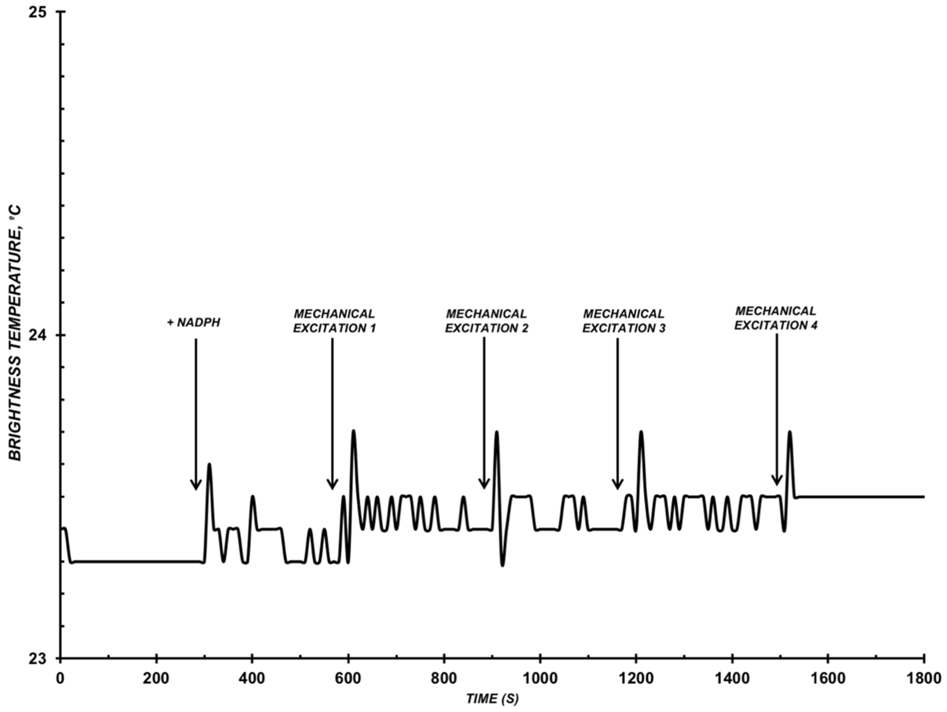 Diagnostics 12 00943 g004