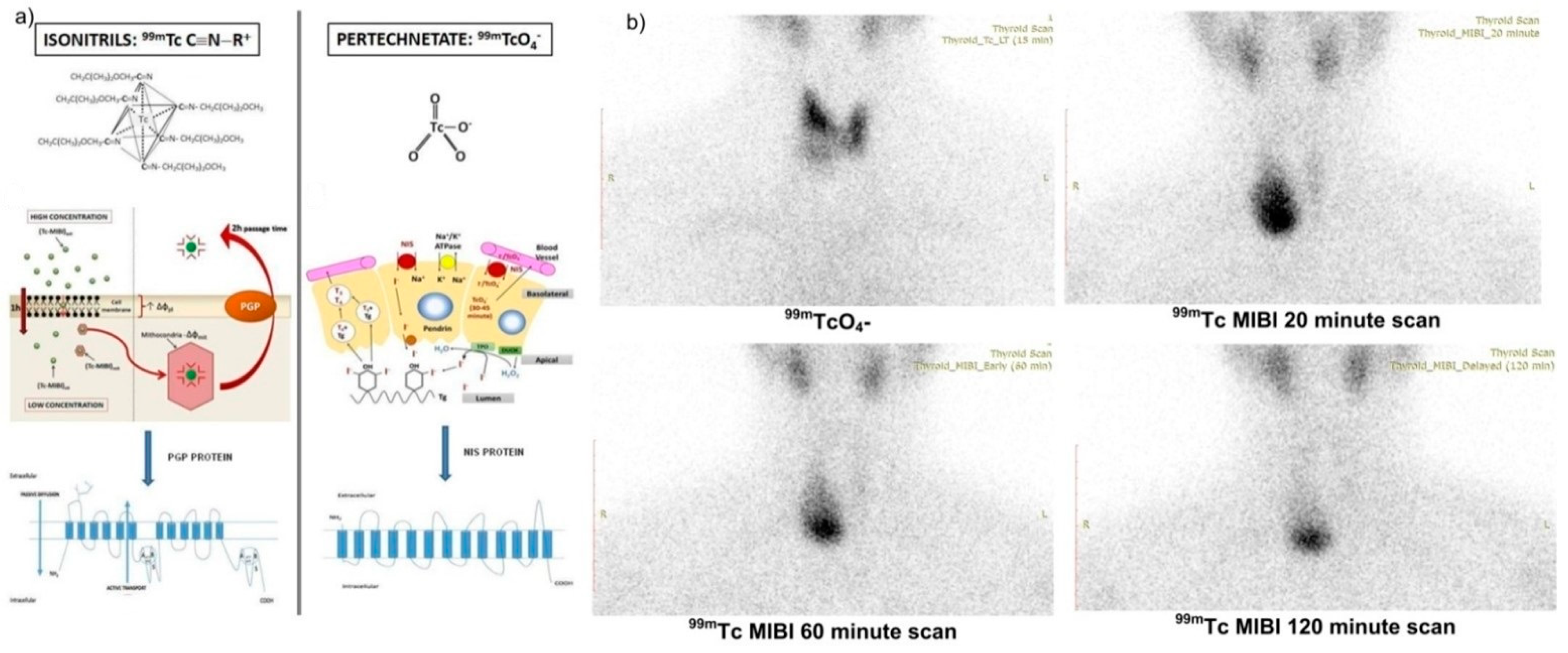 Diagnostics 12 00944 g003